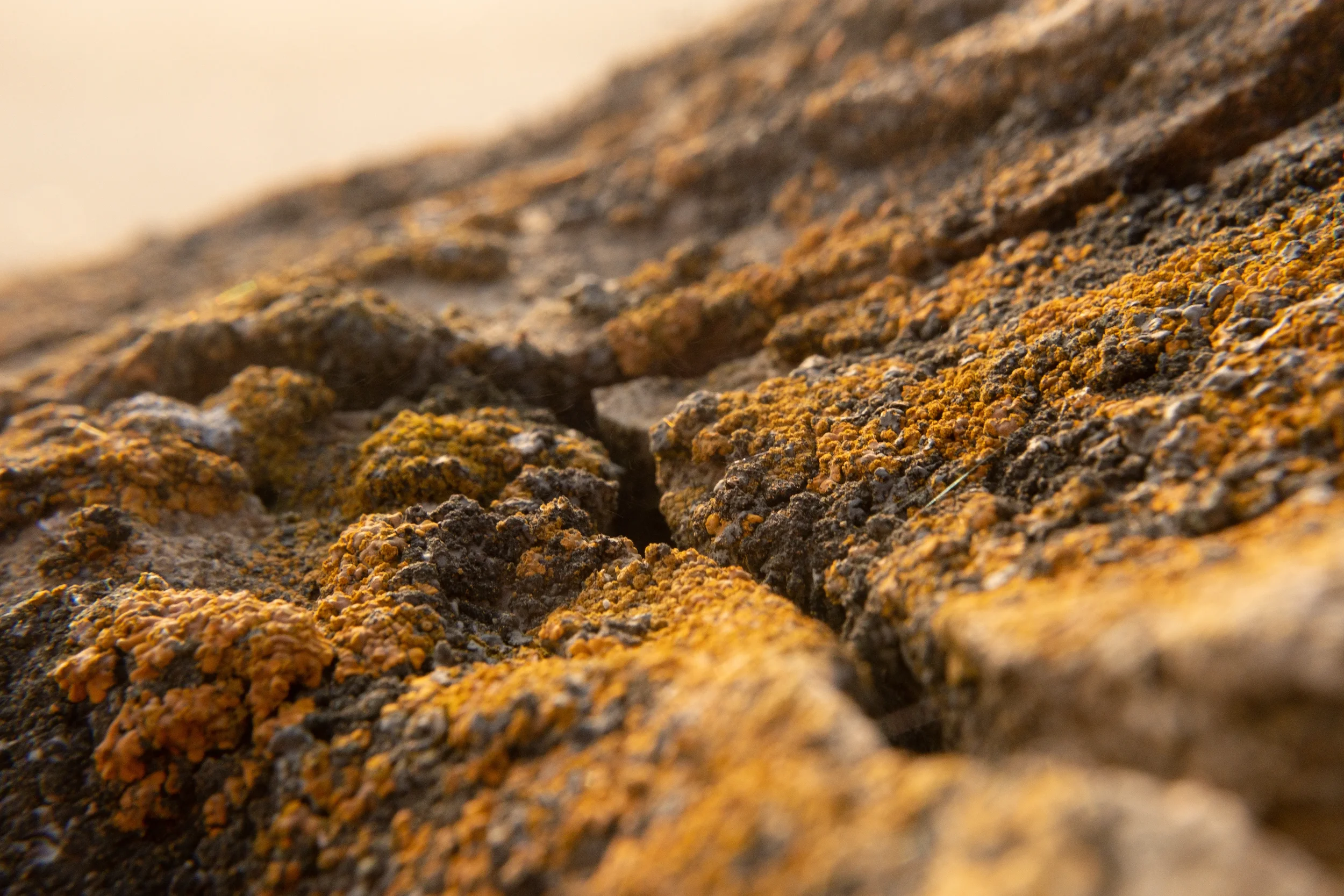 The great canyon / Exoplanet A2 – 3, NØVA III / 2025, 1