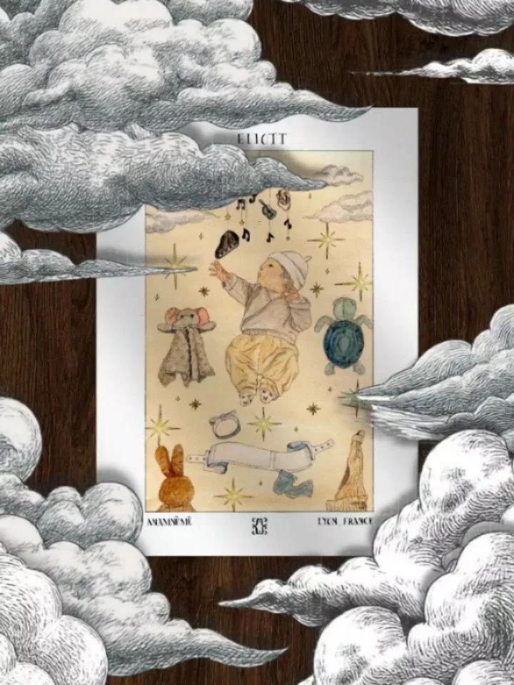 Cette illustration raconte une histoire.

Celle des premiers moments de vie d'Eliott, accompagn&eacute;s des premiers objets qui veillent sur lui : sa veilleuse, son premier bonnet, son bracelet de maternit&eacute; et son doudou qui l'accompagne part