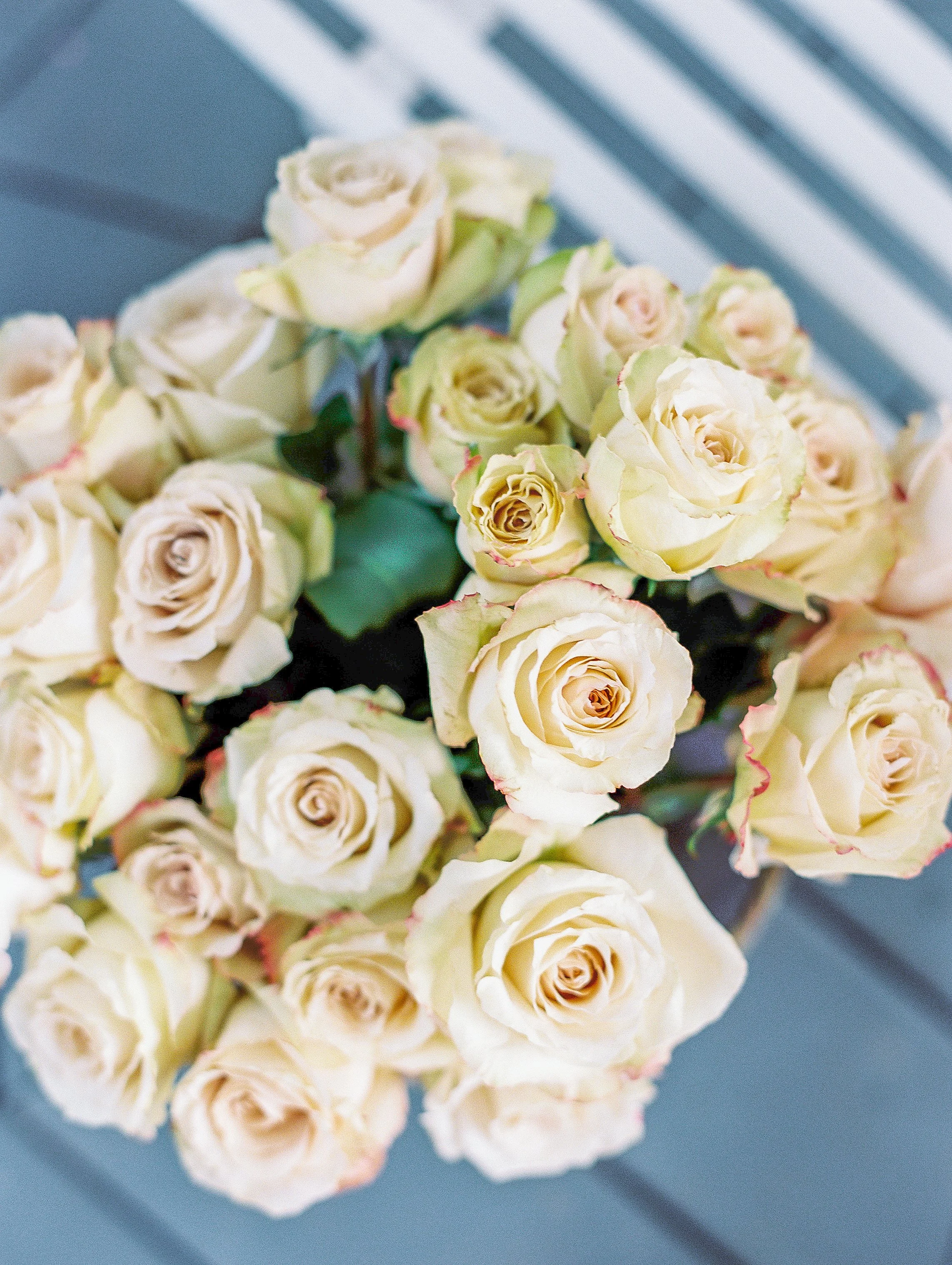 KatieTraufferPhotography-LaurenBridalShower-10044.jpg