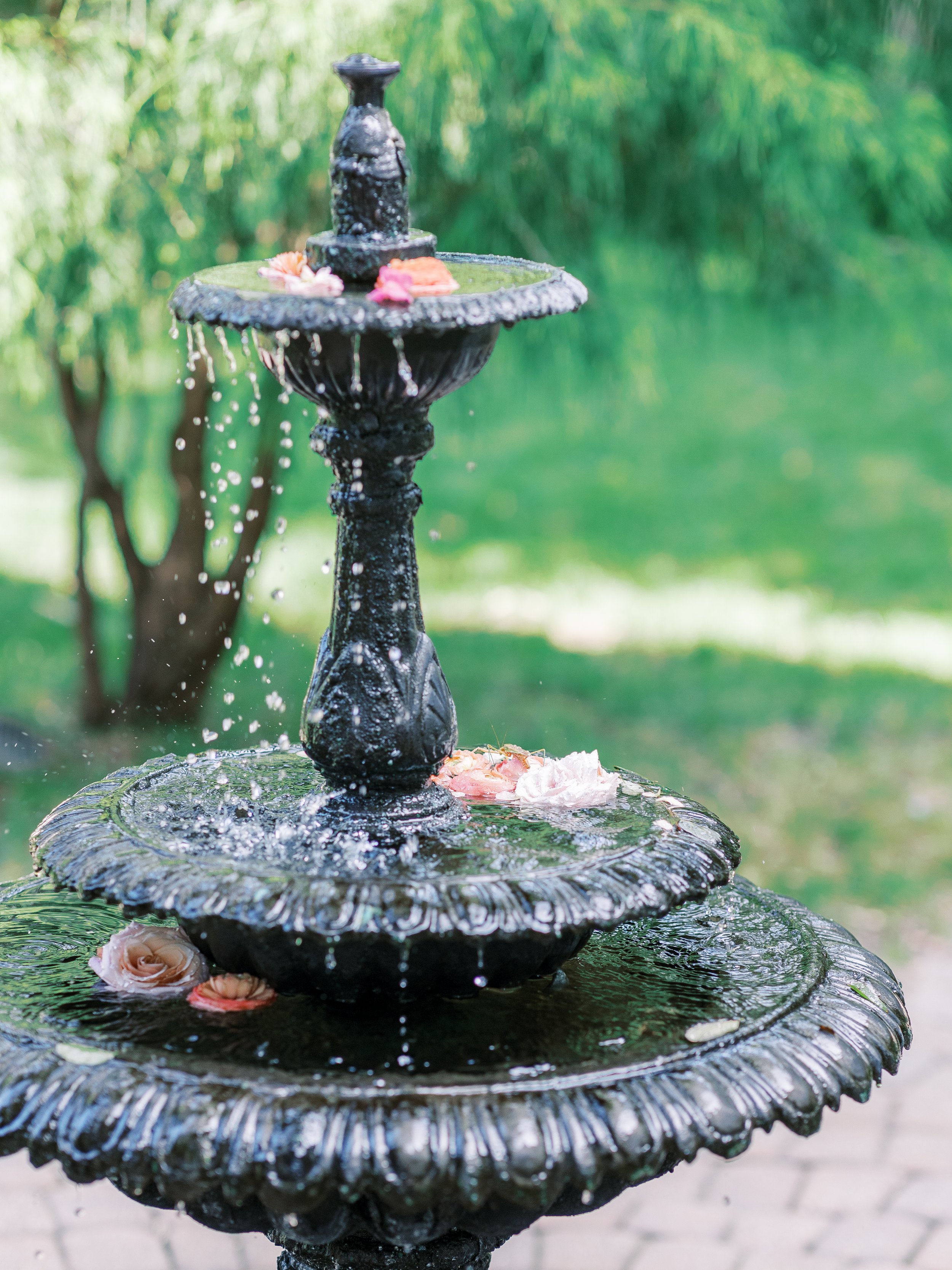 KatieTraufferPhotography-LaurenBridalShower-10056.jpg