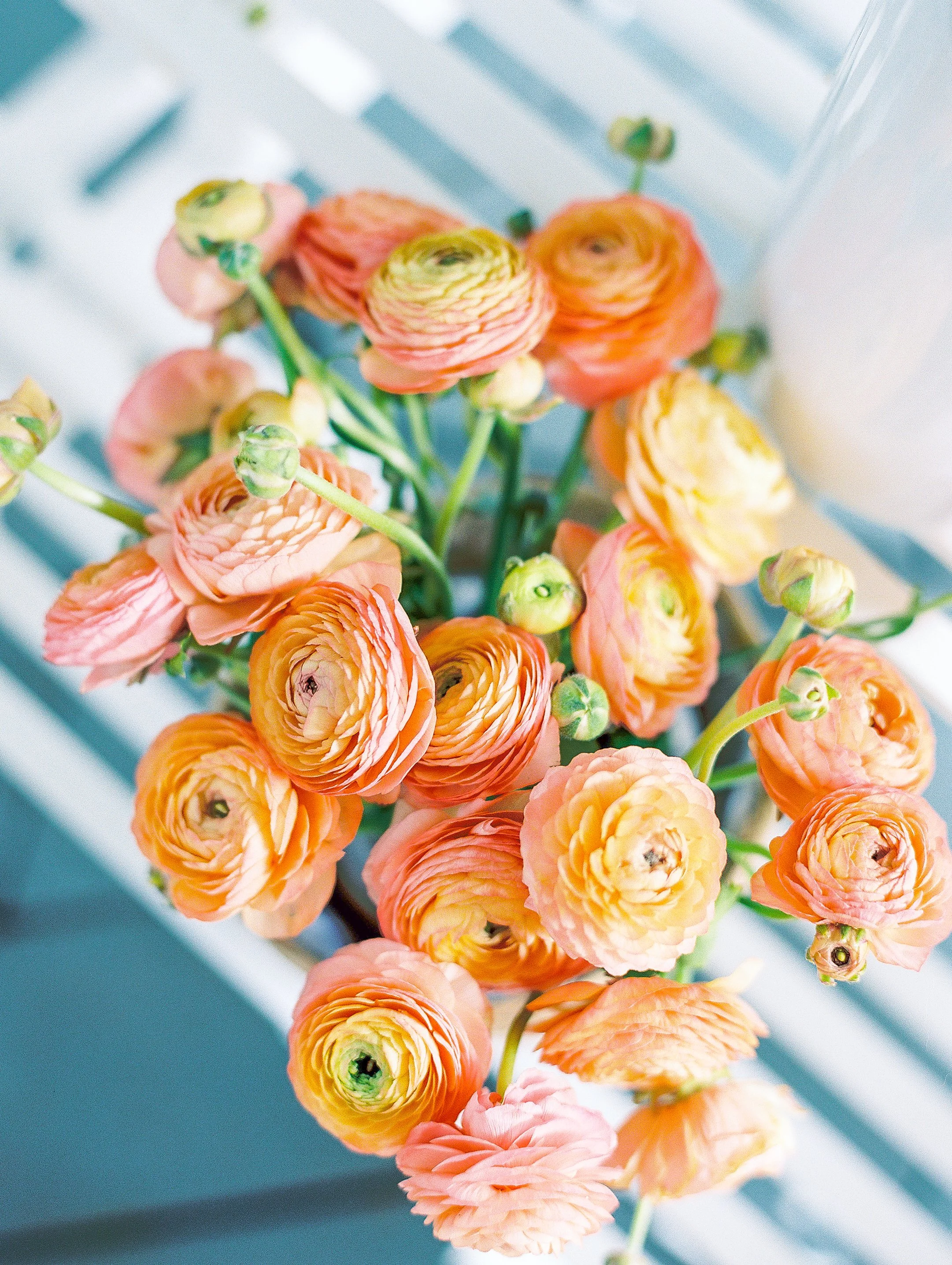 KatieTraufferPhotography-LaurenBridalShower-10043.jpg
