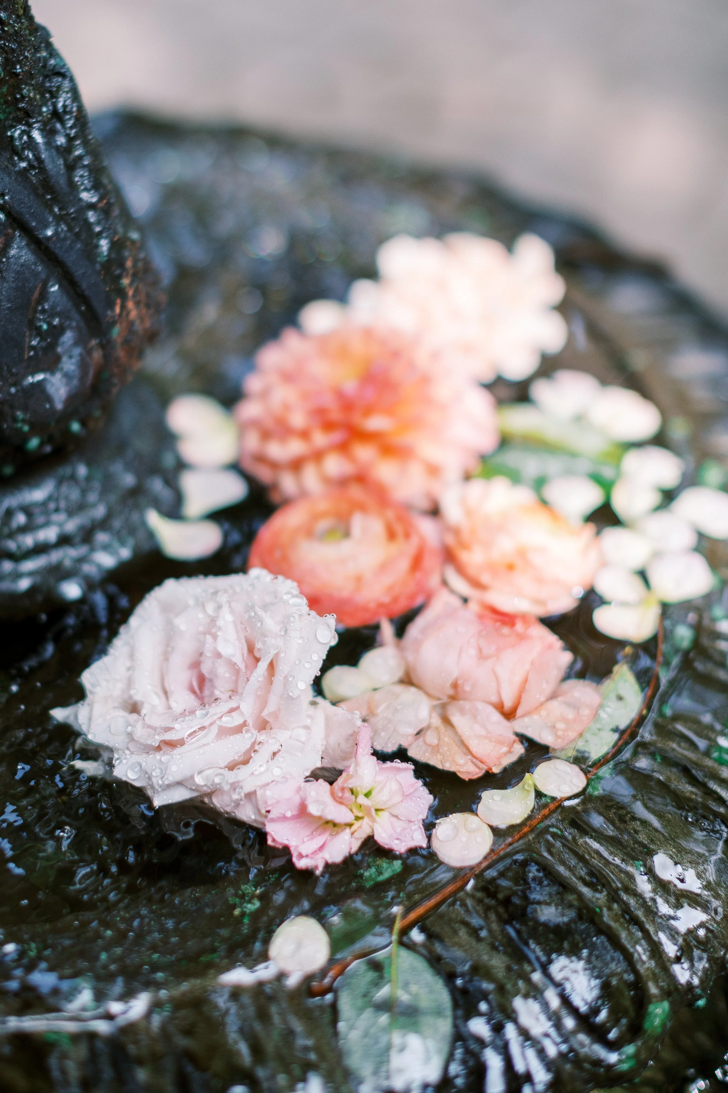 KatieTraufferPhotography-LaurenBridalShower-10058.jpg
