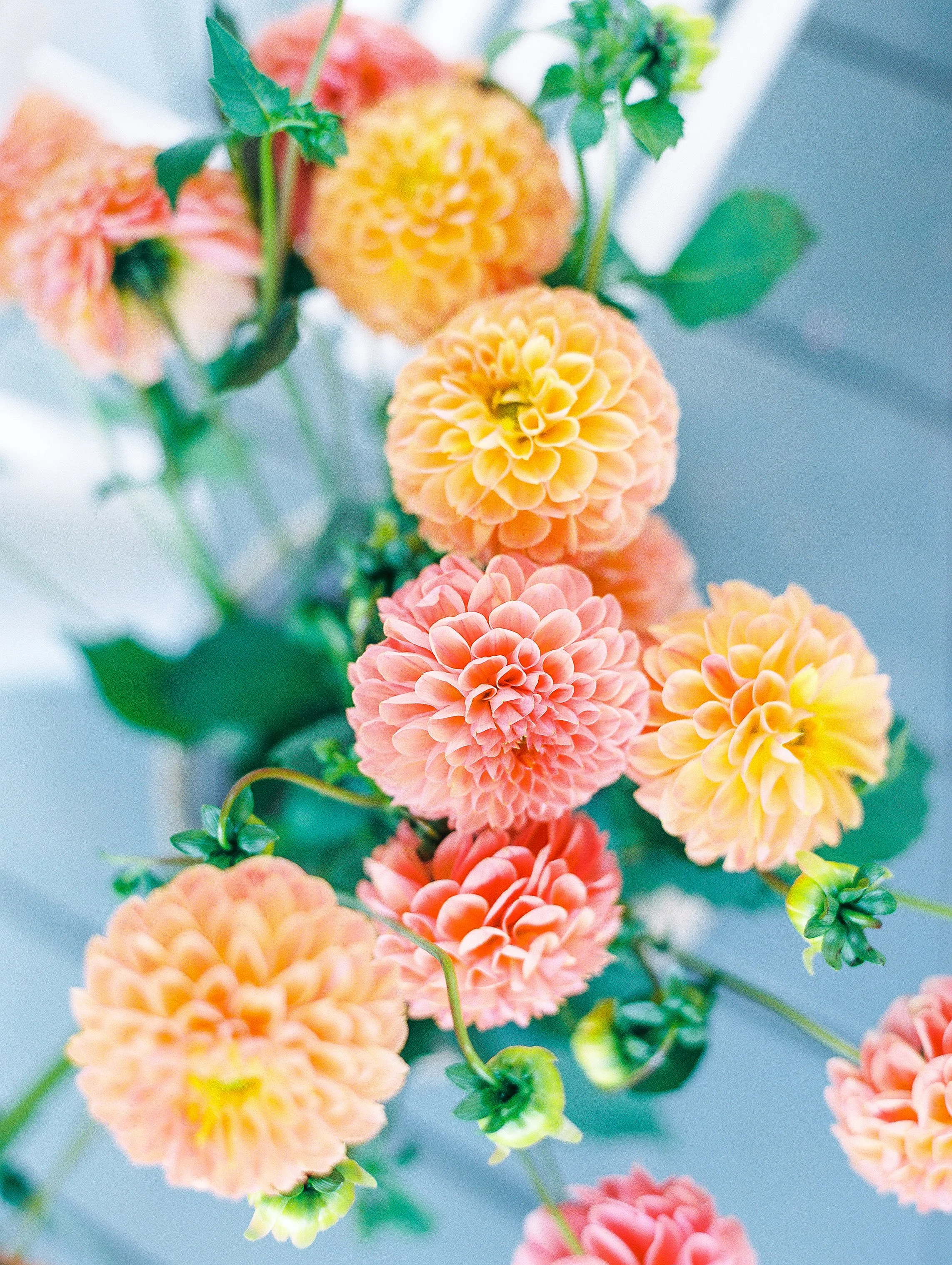 KatieTraufferPhotography-LaurenBridalShower-10047.jpg
