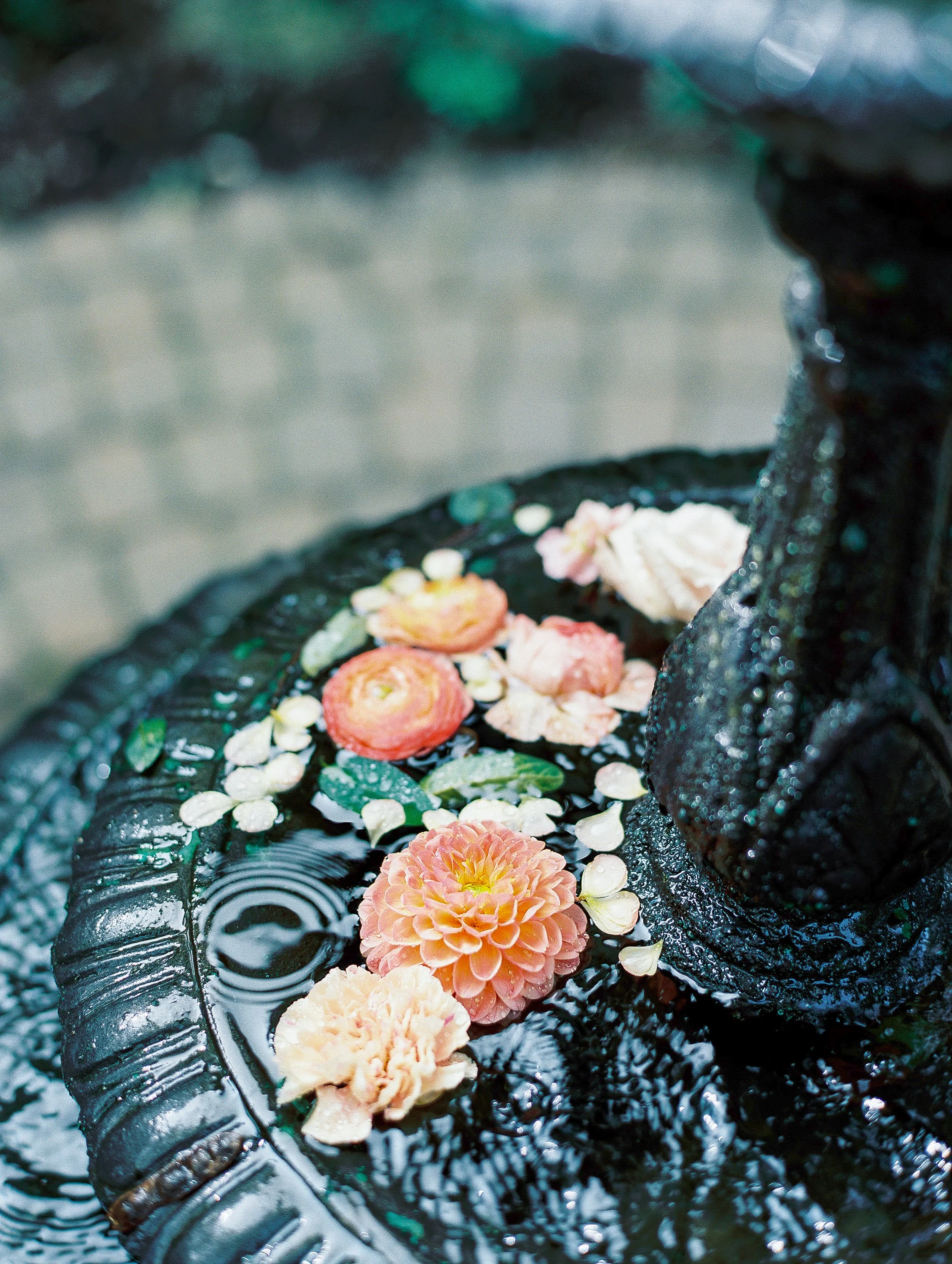 KatieTraufferPhotography-LaurenBridalShower-10057.jpg