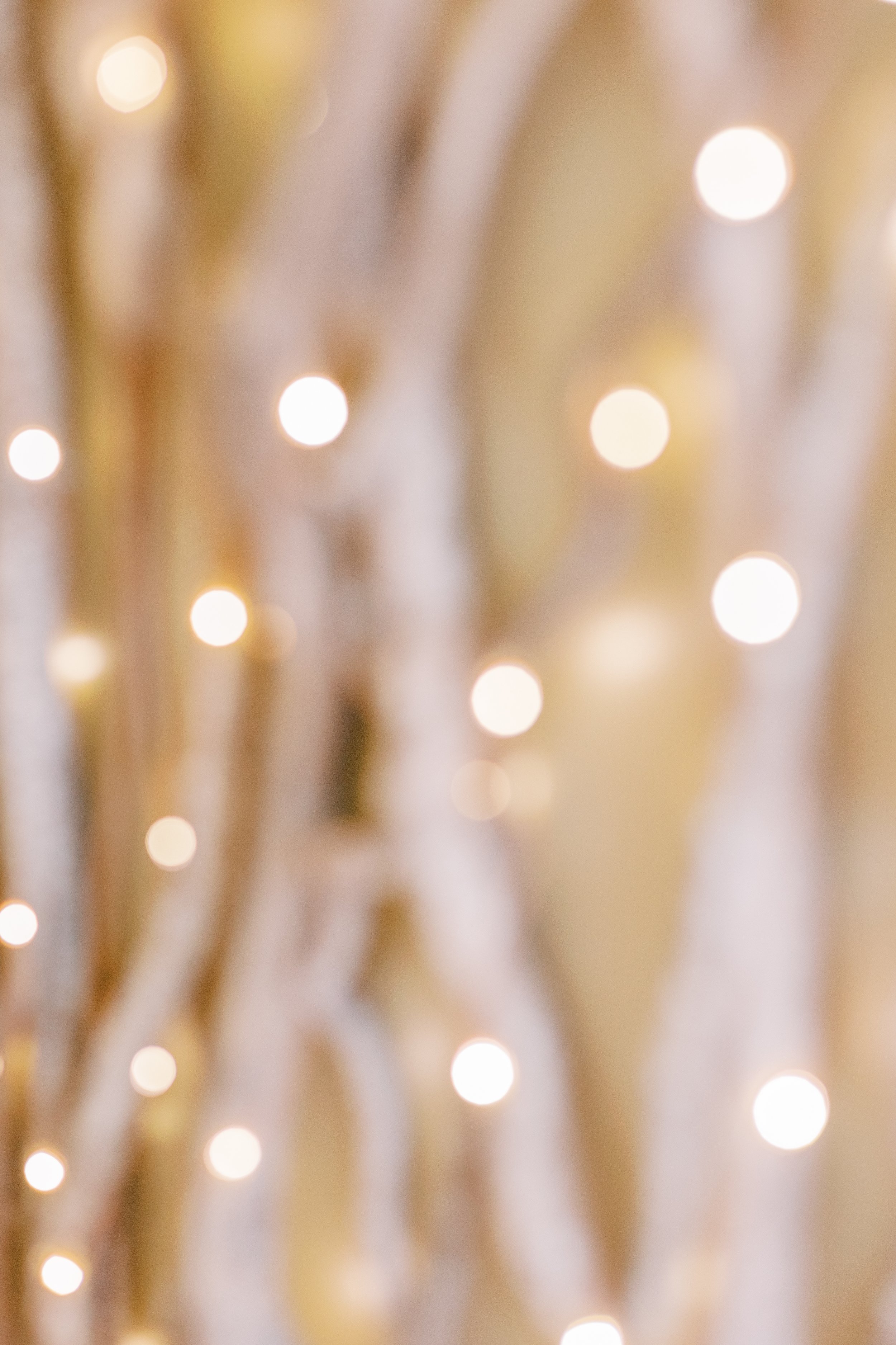 KatieTraufferPhotography-LaurenBridalShower-10084.jpg