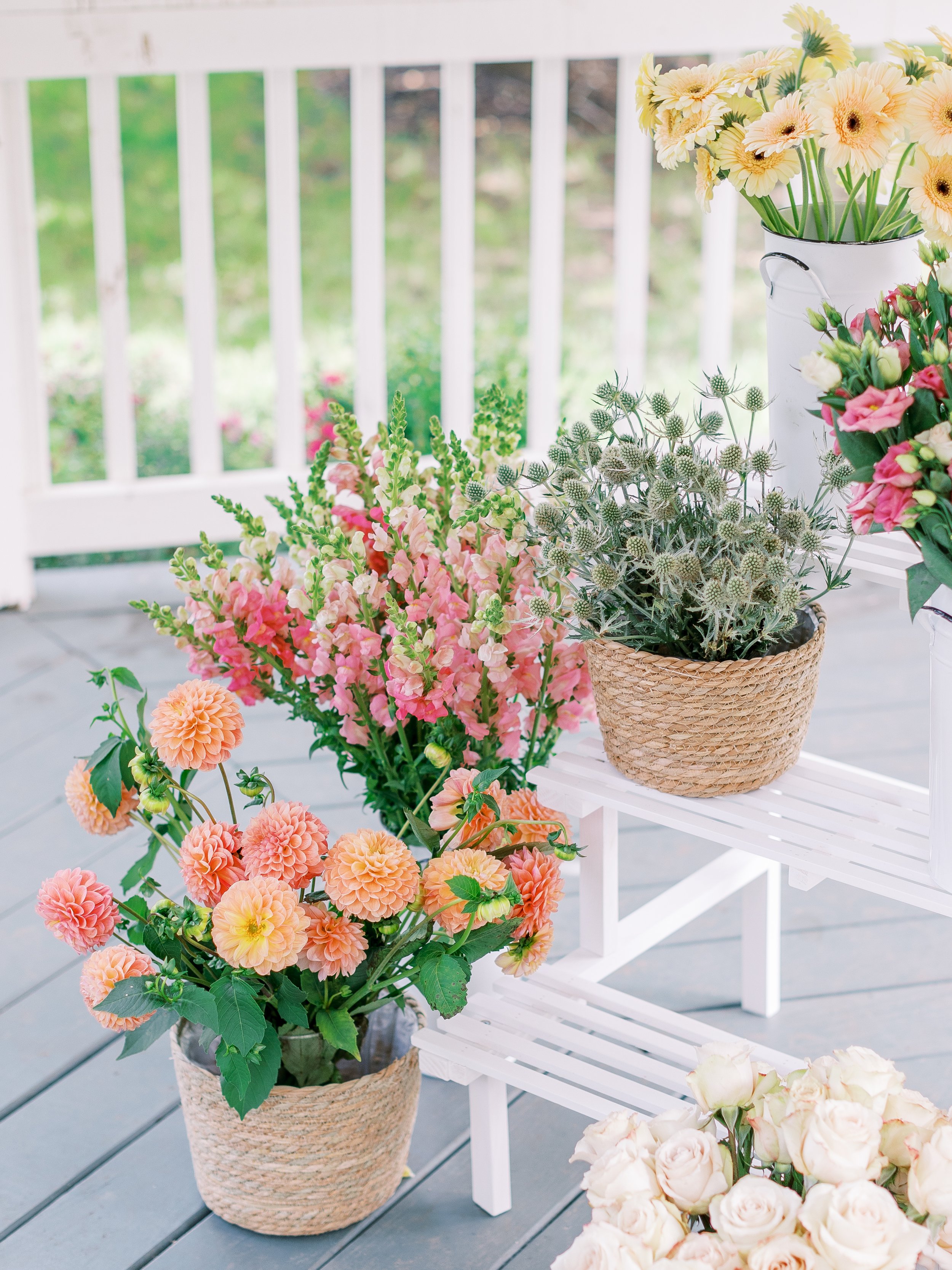 KatieTraufferPhotography-LaurenBridalShower-10042.jpg