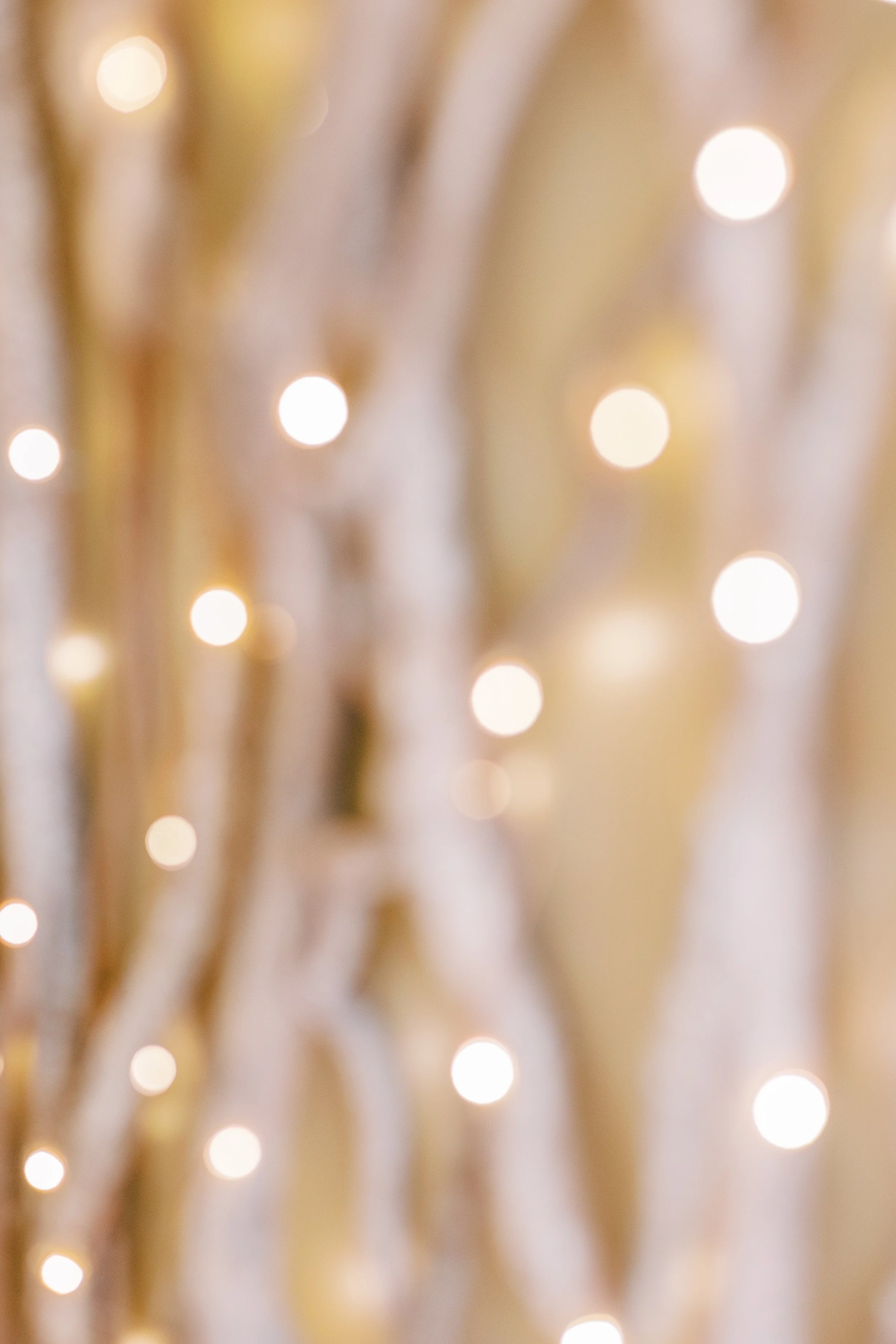 KatieTraufferPhotography-LaurenBridalShower-10084.jpg