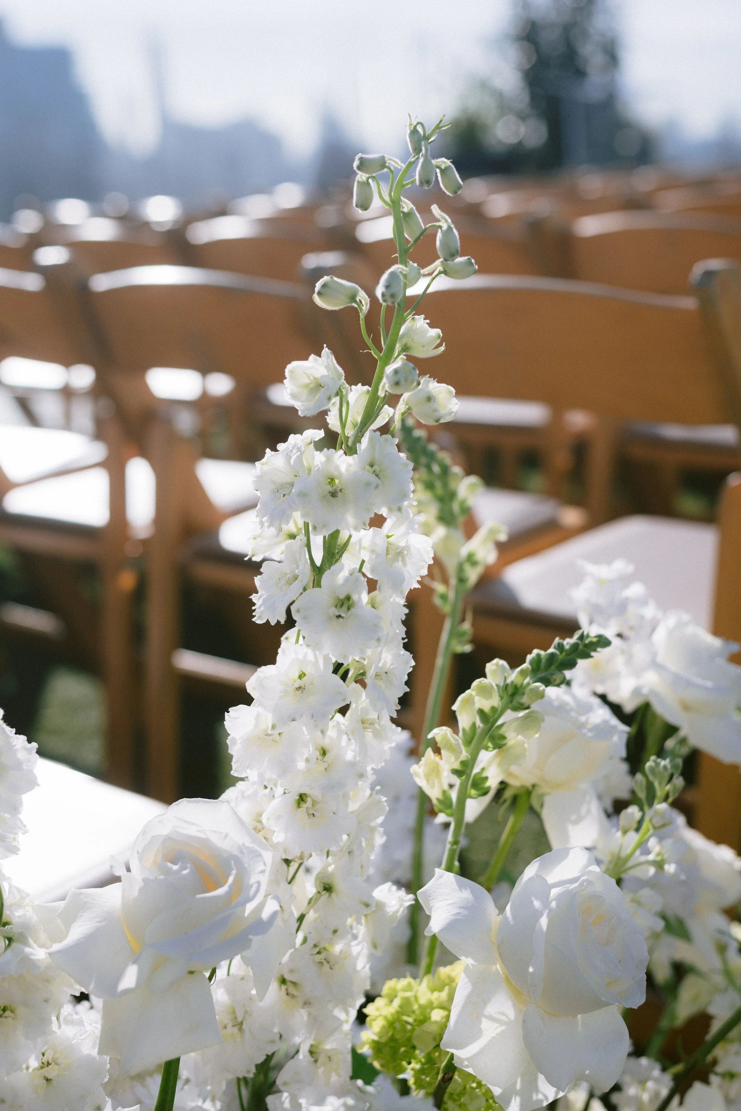 CCP_250920_RyanNicole_Wedding_Teasers_0076.jpg