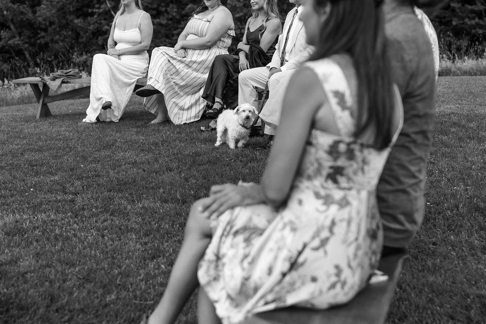 luna-munn-photography-intimate-vermont-wedding-emelia-dan0152.jpg