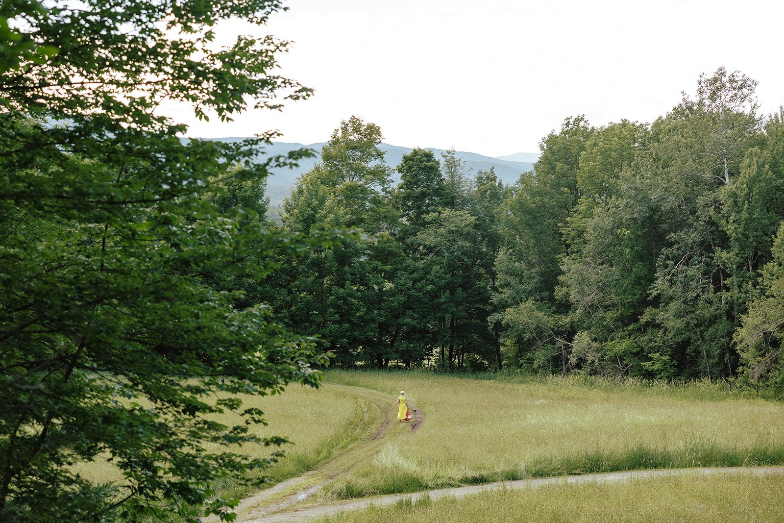 luna-munn-photography-intimate-vermont-wedding-emelia-dan0062.jpg