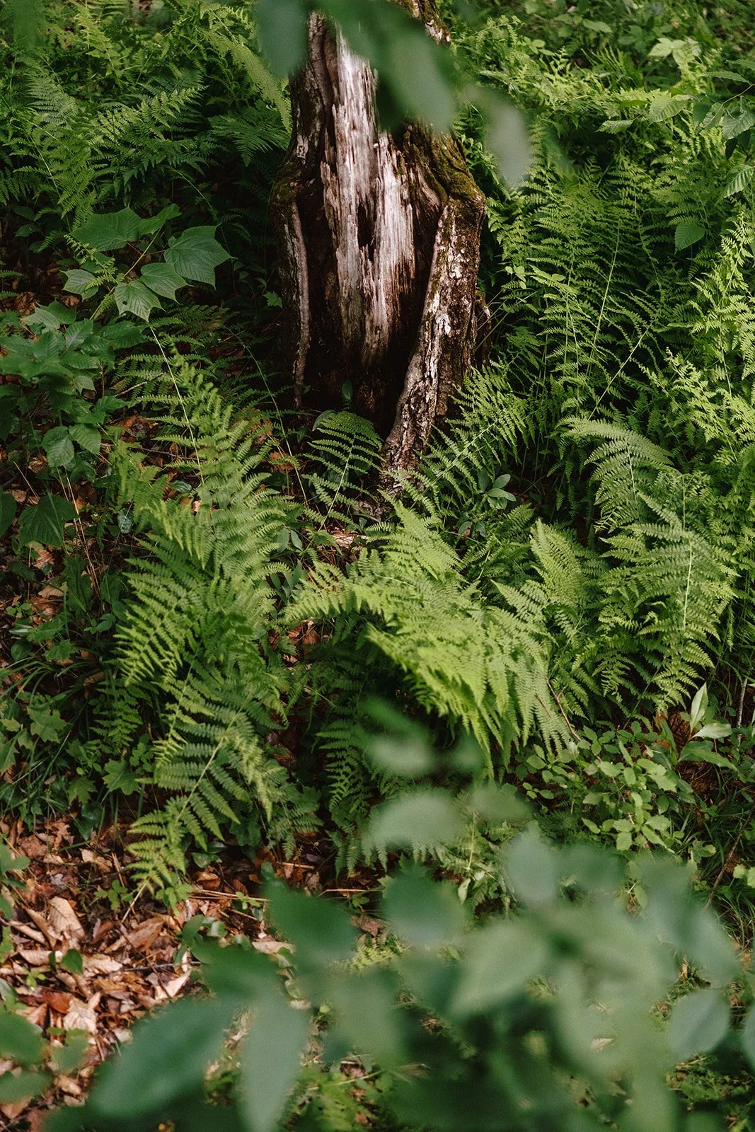 luna-munn-photography-intimate-vermont-wedding-emelia-dan0093.jpg
