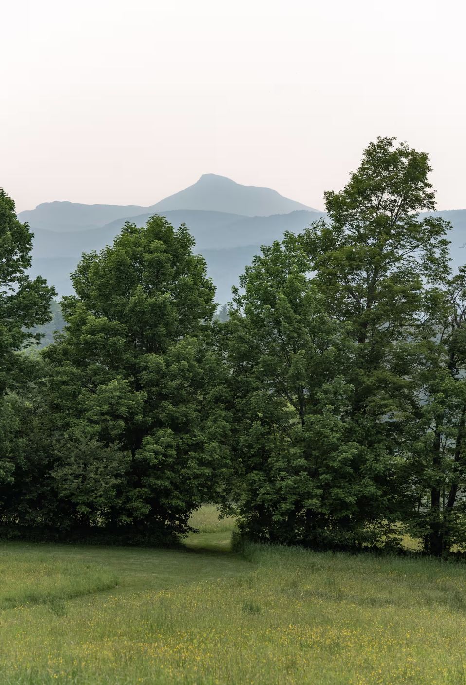 Screenshot 2025-12-10 at 3.30.40 PM.png