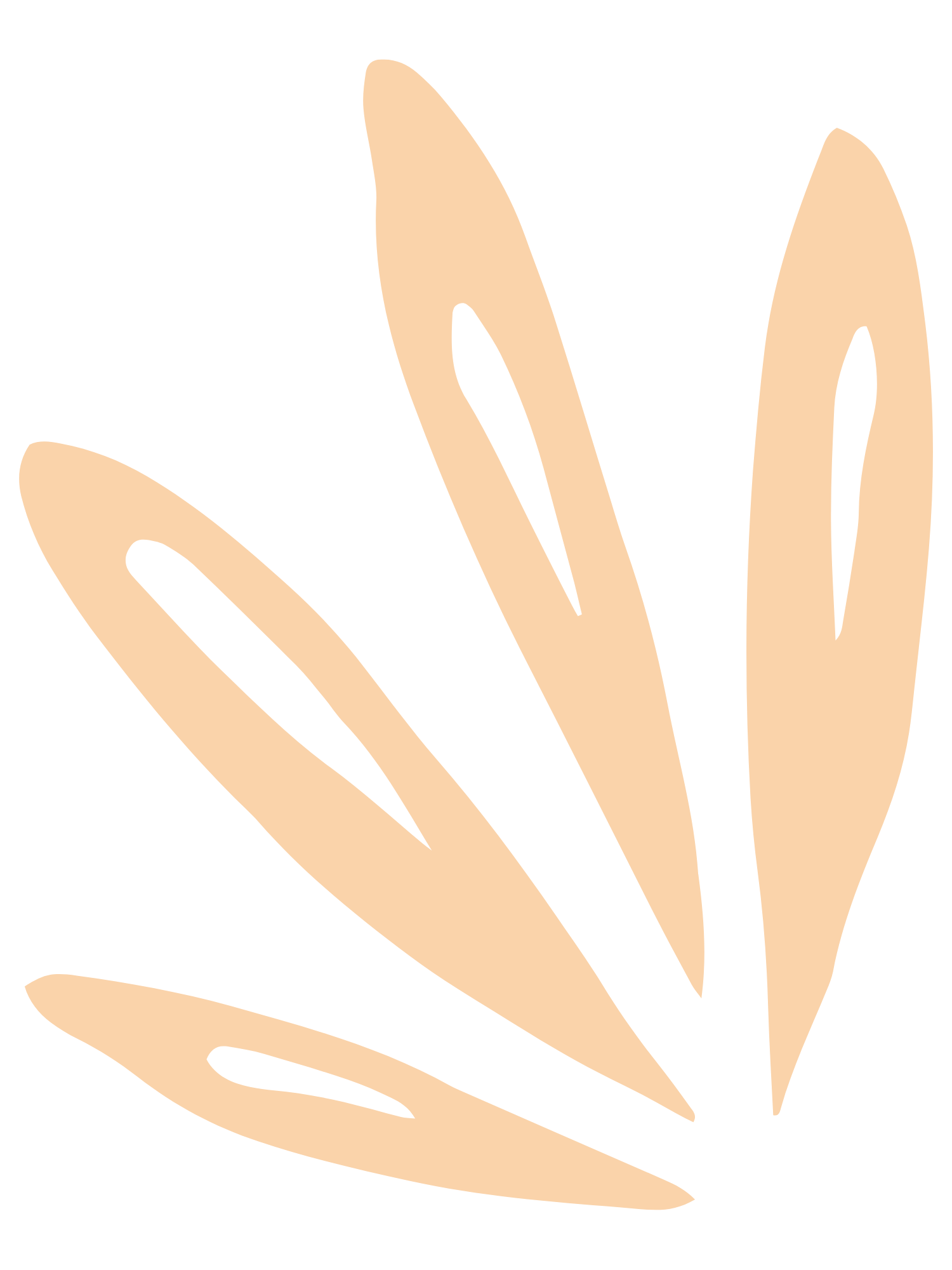 Simplified illustration of beige palm leaves on a white background, graphic for Guided Growth