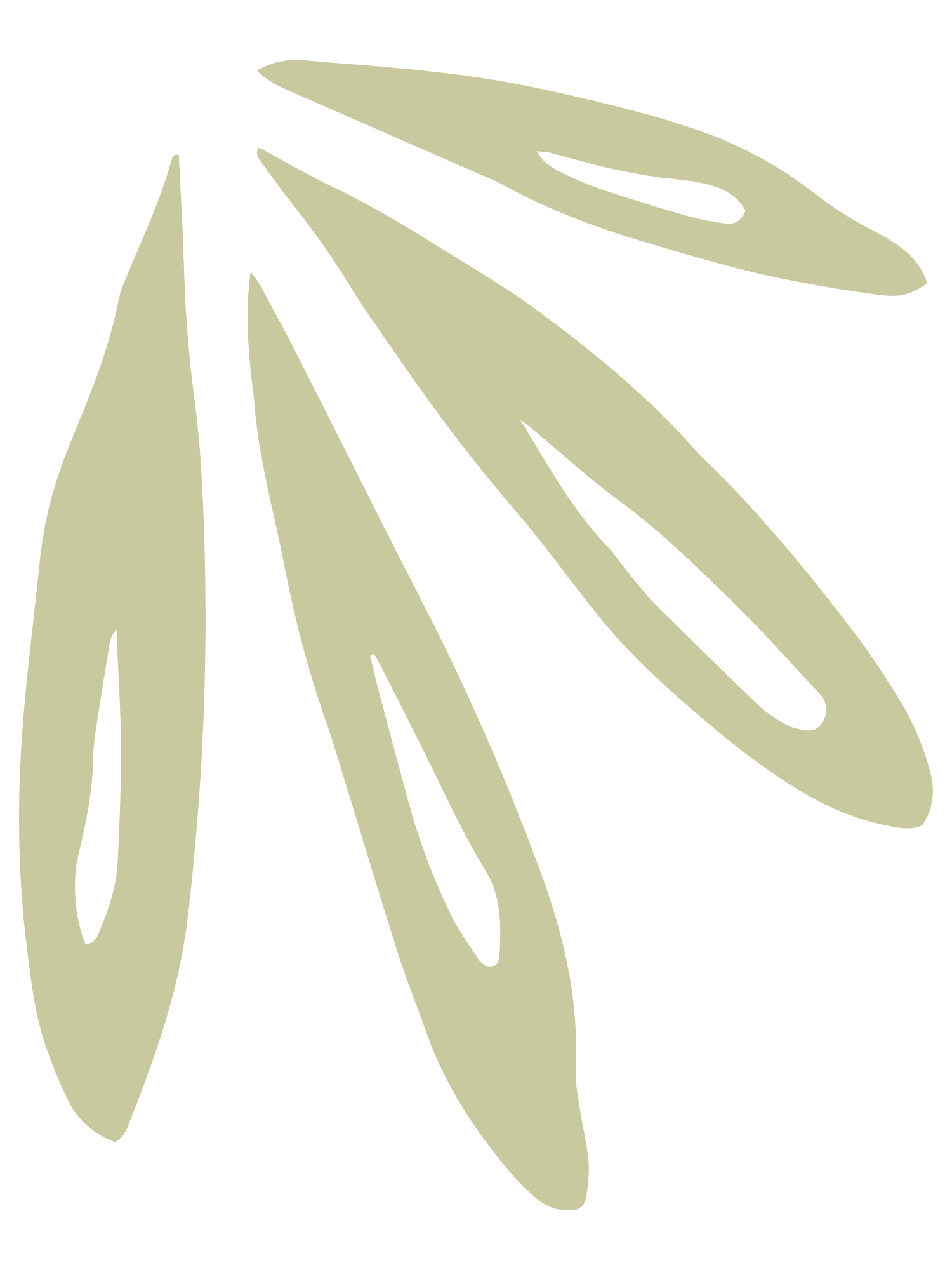 Illustration of a palm leaf with elongated, split leaves in a light beige color, graphic for Guided Growth