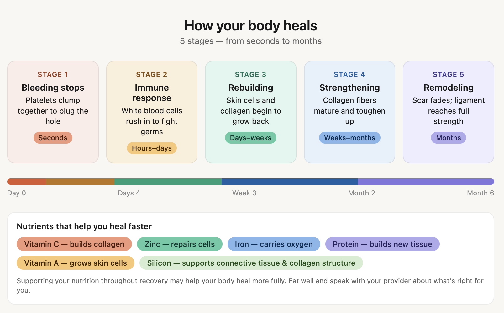 Infographic titled 'How your body heals' showing five stages of healing from seconds to months with colored labels, a timeline, and information on nutrients that support healing.