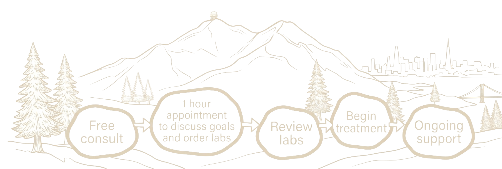 Flowchart illustration of a process with five steps: Free consult, Appointment discussion goals and order labs, Review ads, Begin treatment, Ongoing support, set against a faint mountain and cityscape background with trees.
