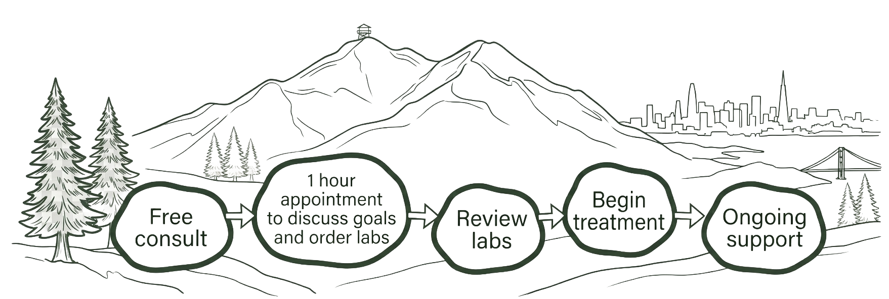 Flowchart illustrating a process from free consultation to ongoing support, with scenic background of mountains, trees, and a city skyline in the distance.