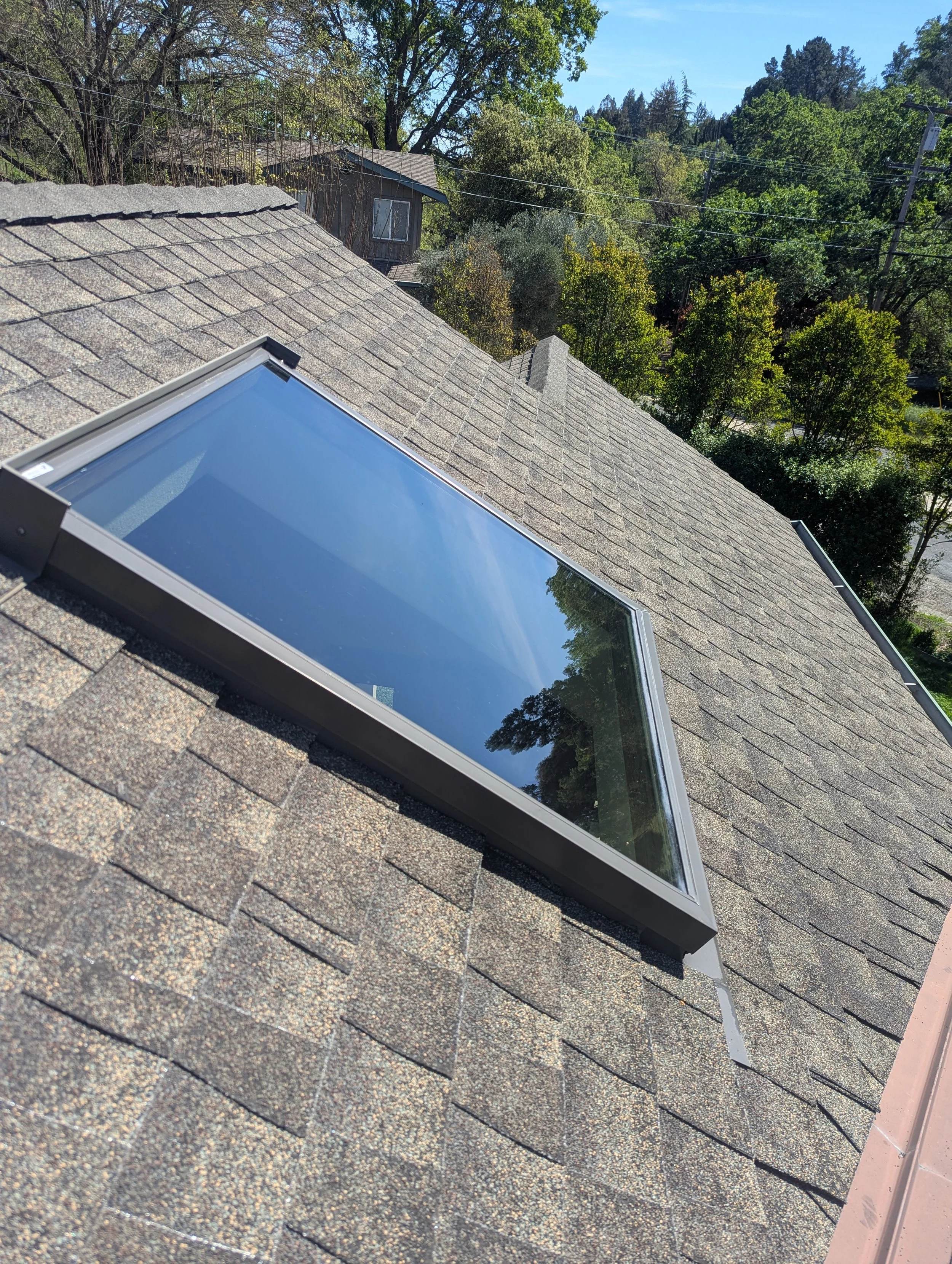 PXL_20260316_202803148.MP (1).jpg