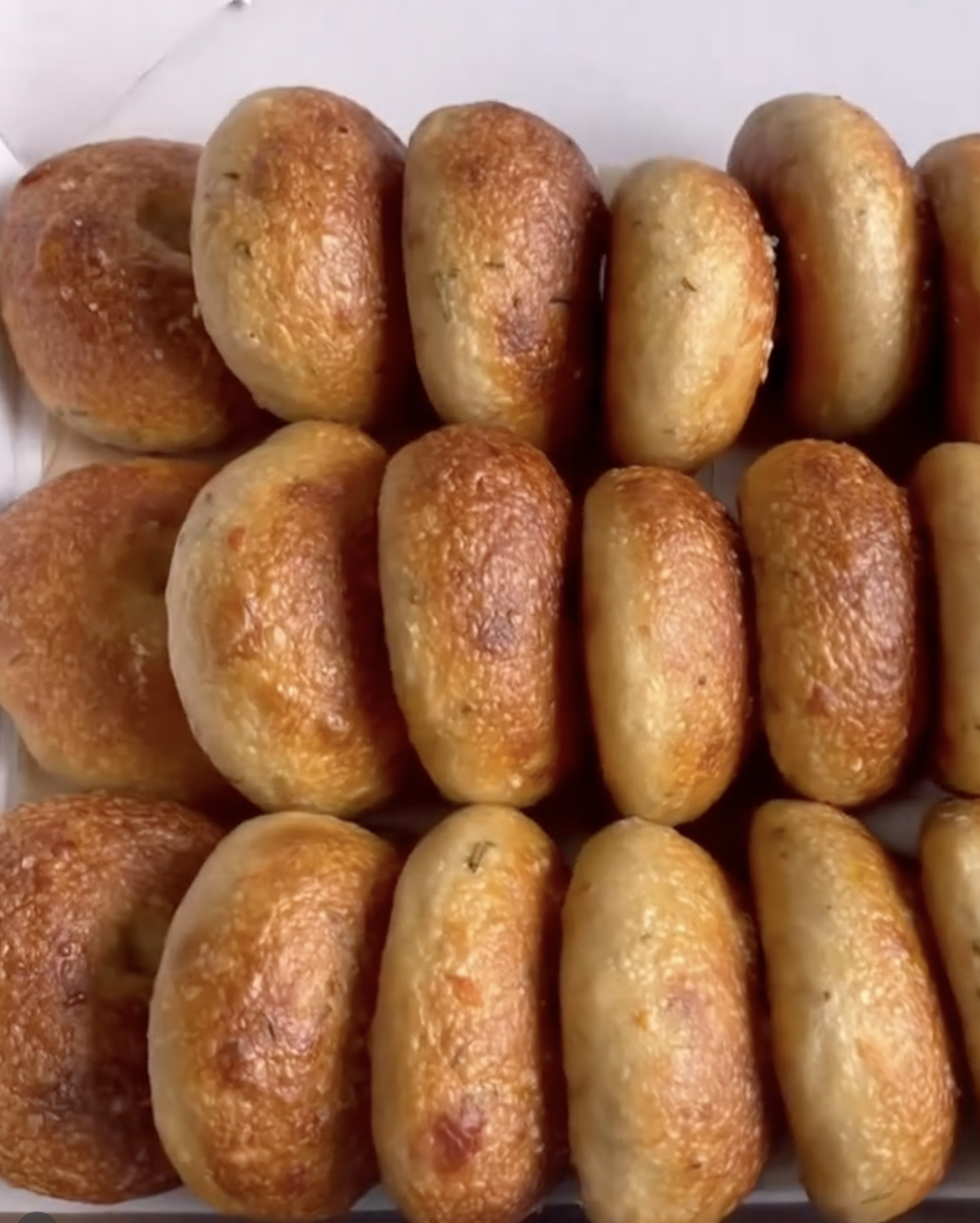 Screenshot 2026-04-08 at 3.44.08 AM.png