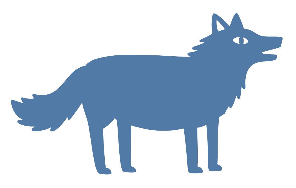 Coyote's Market