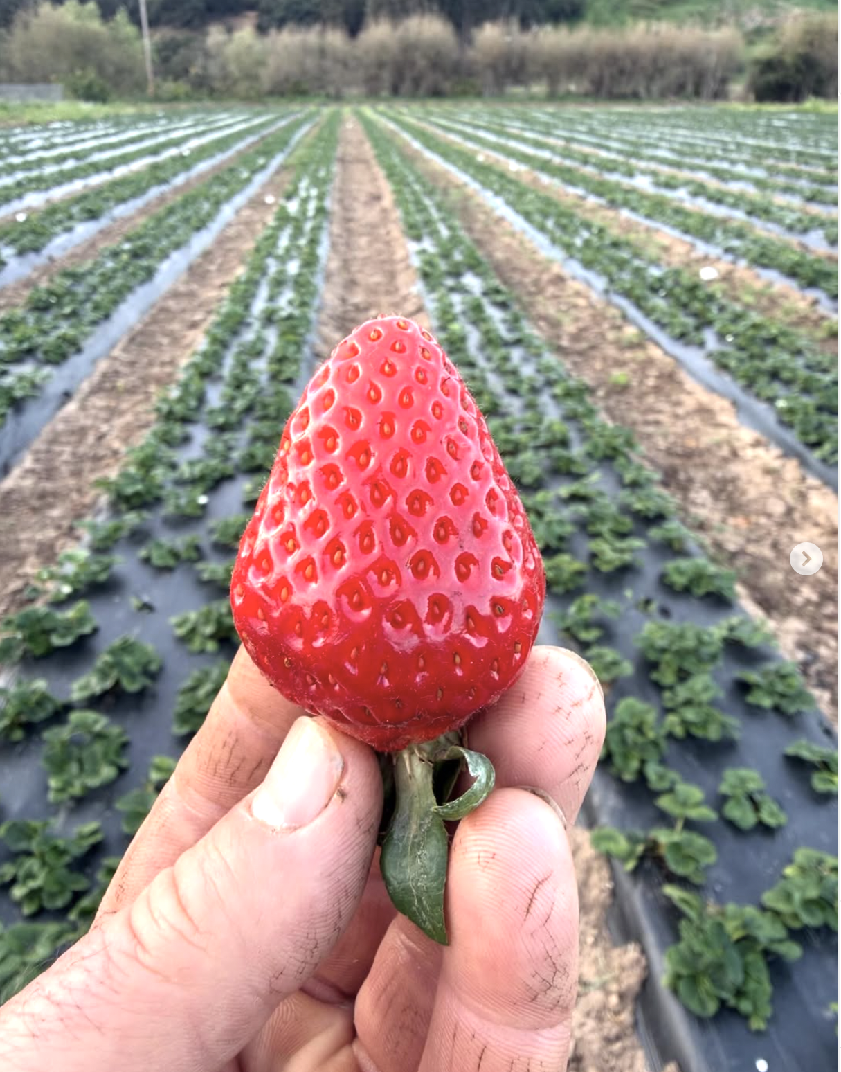 Screenshot 2026-04-08 at 3.38.31 AM.png