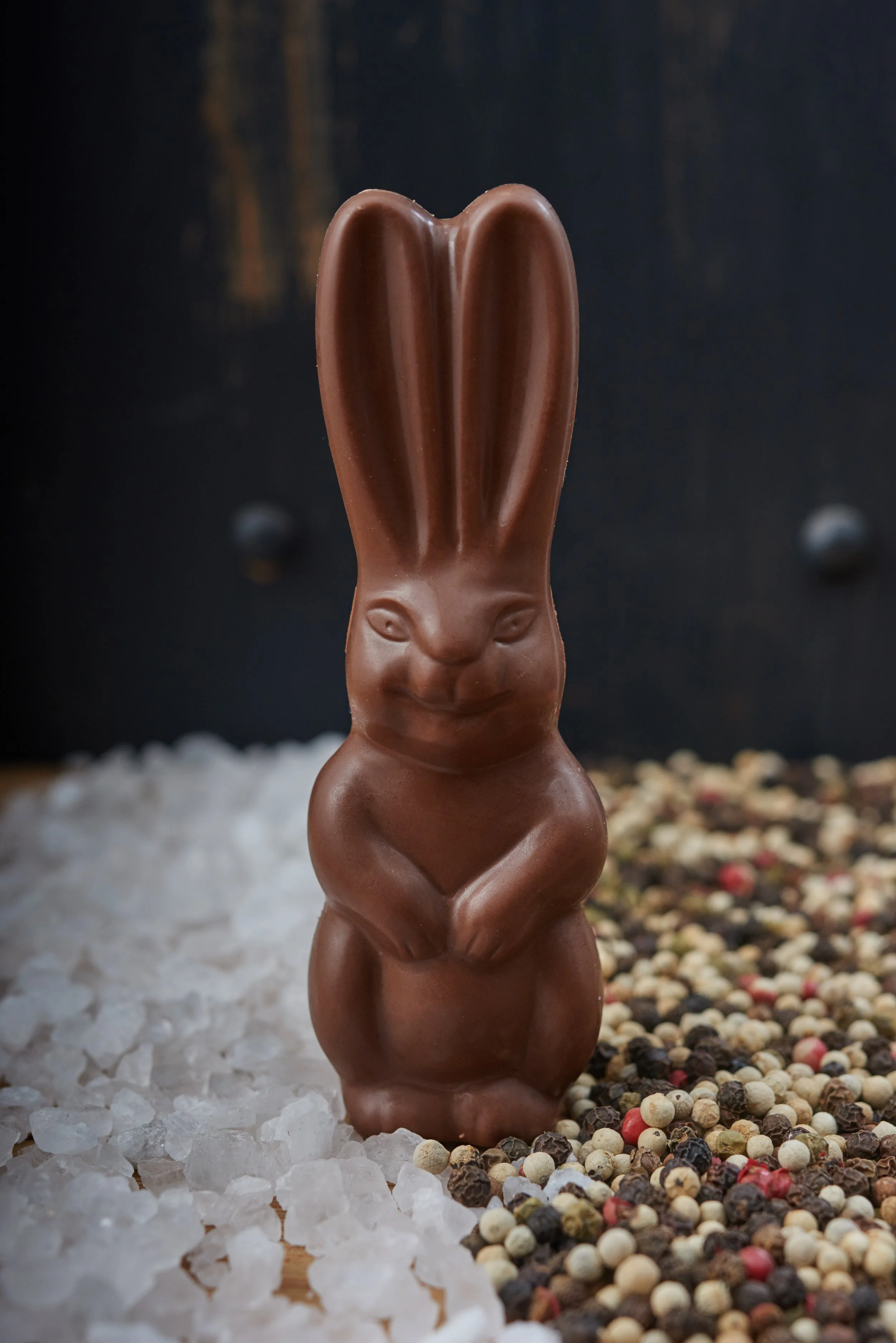 CHOCOLATE BUNNY