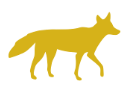 Coyote's Little Market