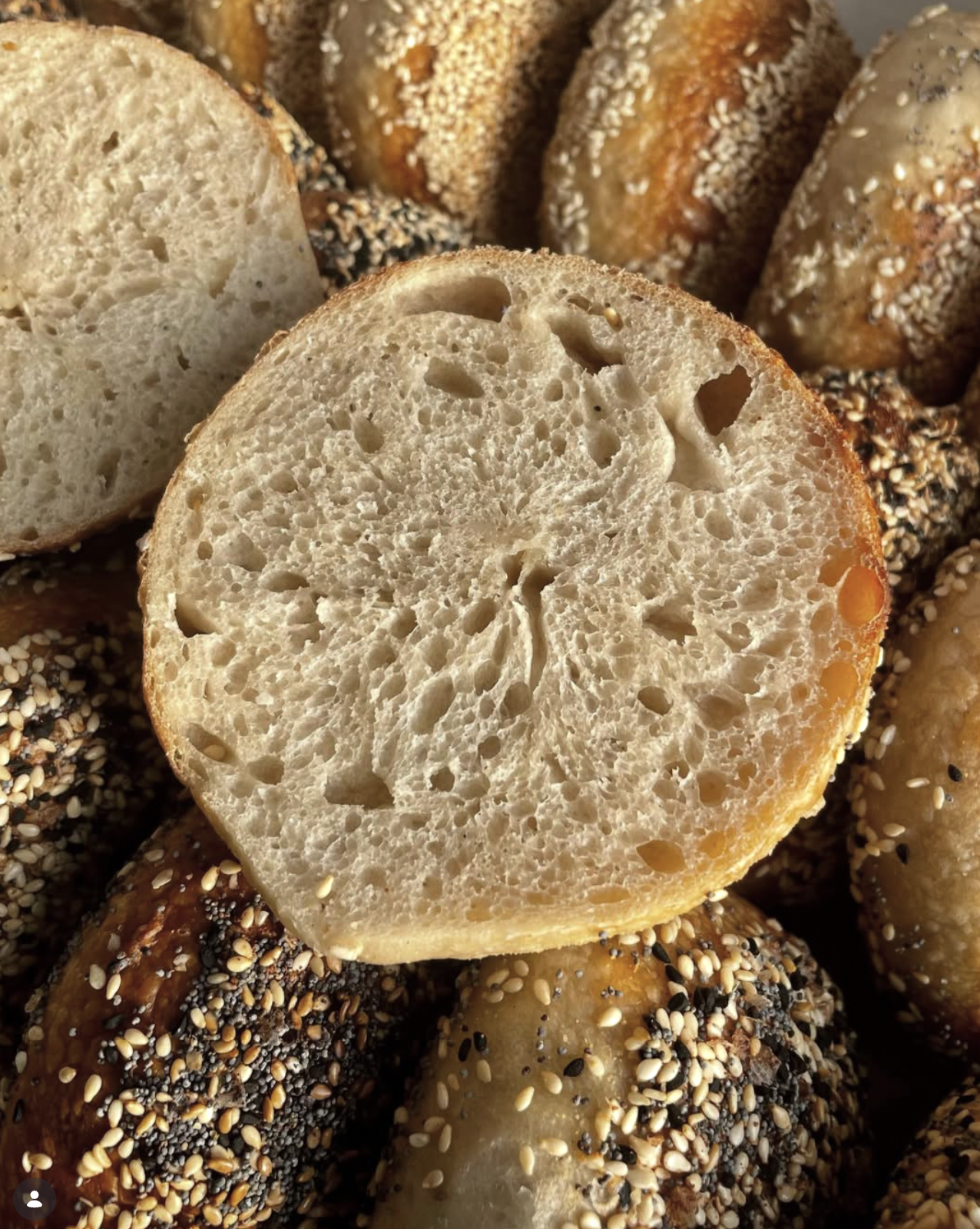 Screenshot 2026-04-08 at 3.48.56 AM.png