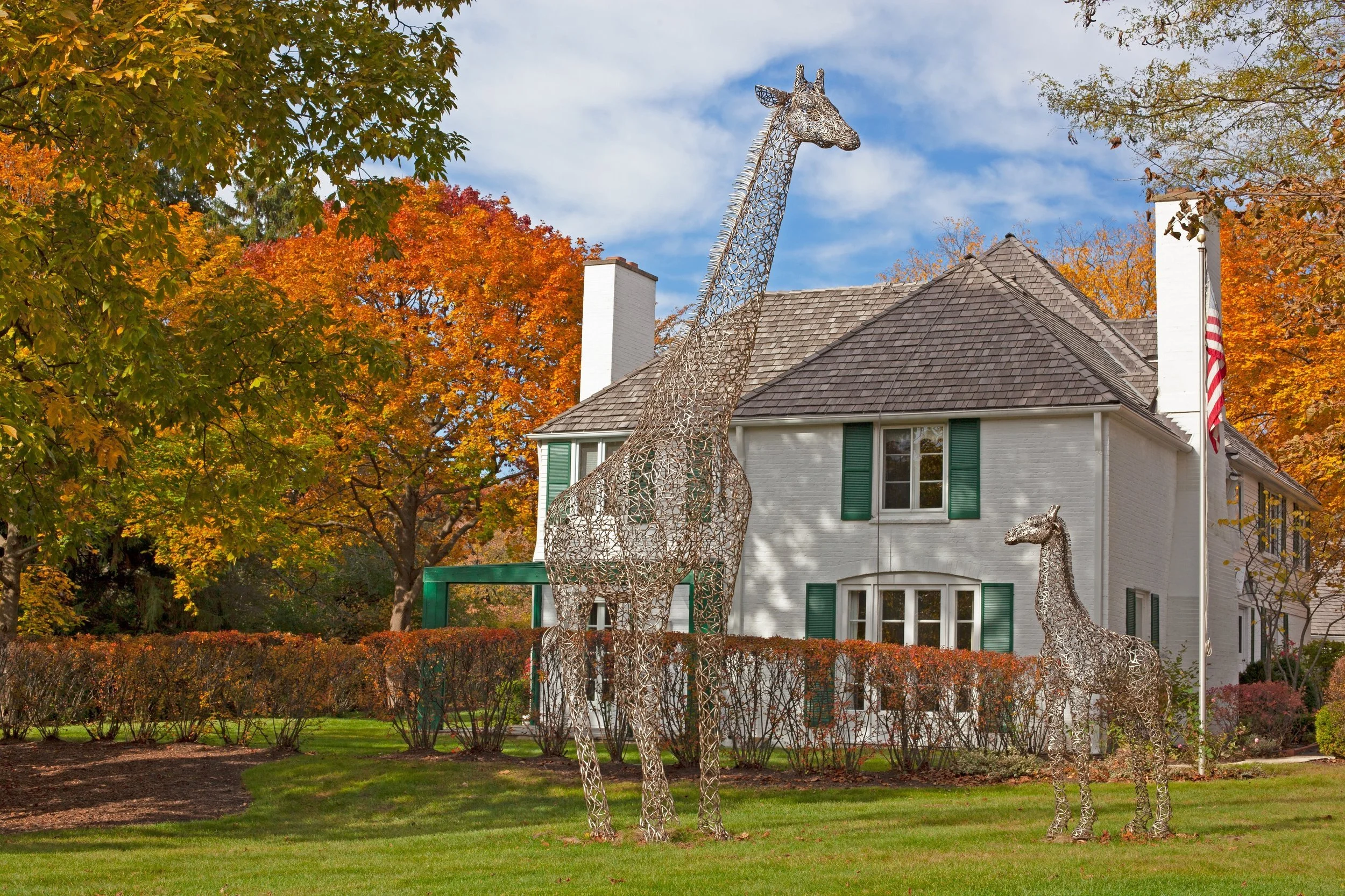 Metal sculptures of a giraffe and a foal in front of a white house with green shutters. Fall foliage with orange and yellow leaves in the background.