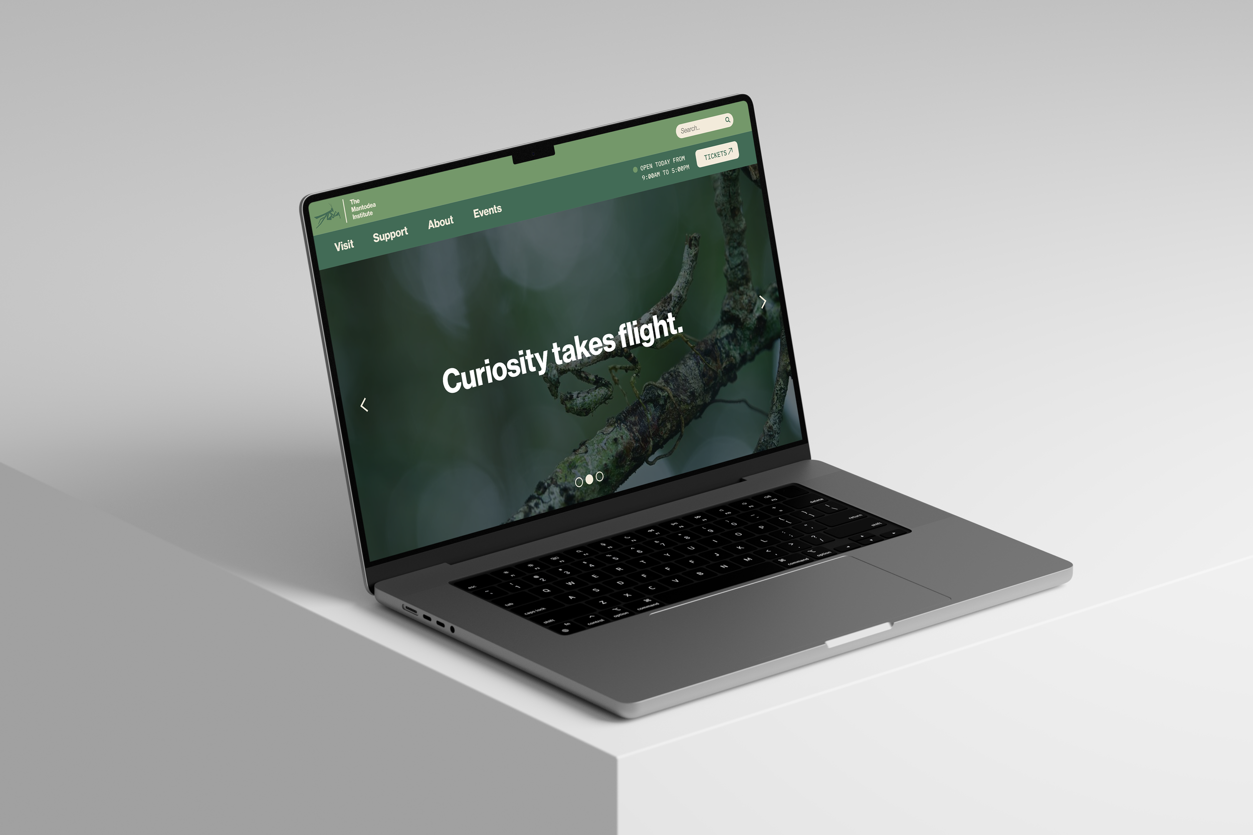 The Mantodea Institute