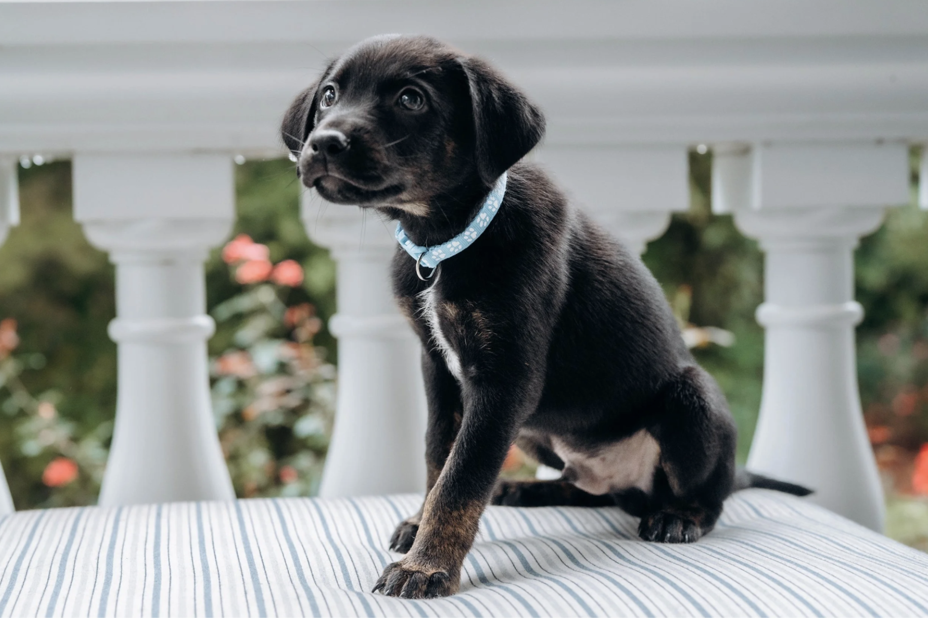 Michelle Miner Photographer in Charlotte - 3.png