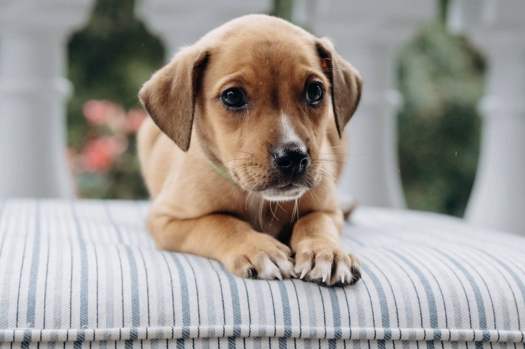 Michelle Miner Photographer in Charlotte - 5.png