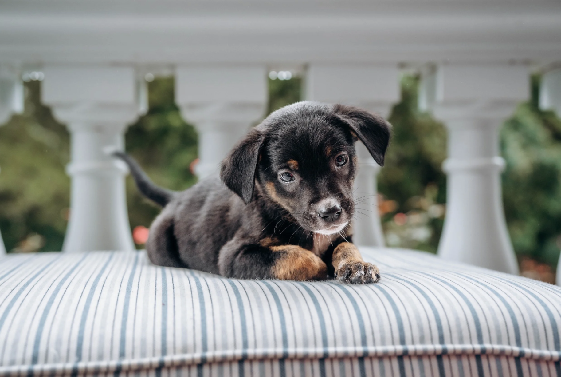 Michelle Miner Photographer in Charlotte - 7.png