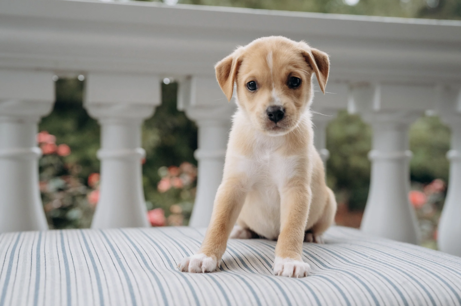 Michelle Miner Photographer in Charlotte -8.png