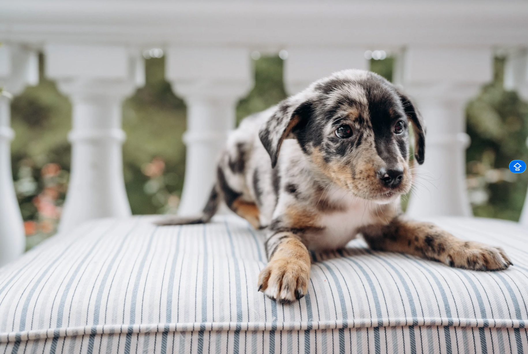 Michelle Miner Photographer in Charlotte - 2.png