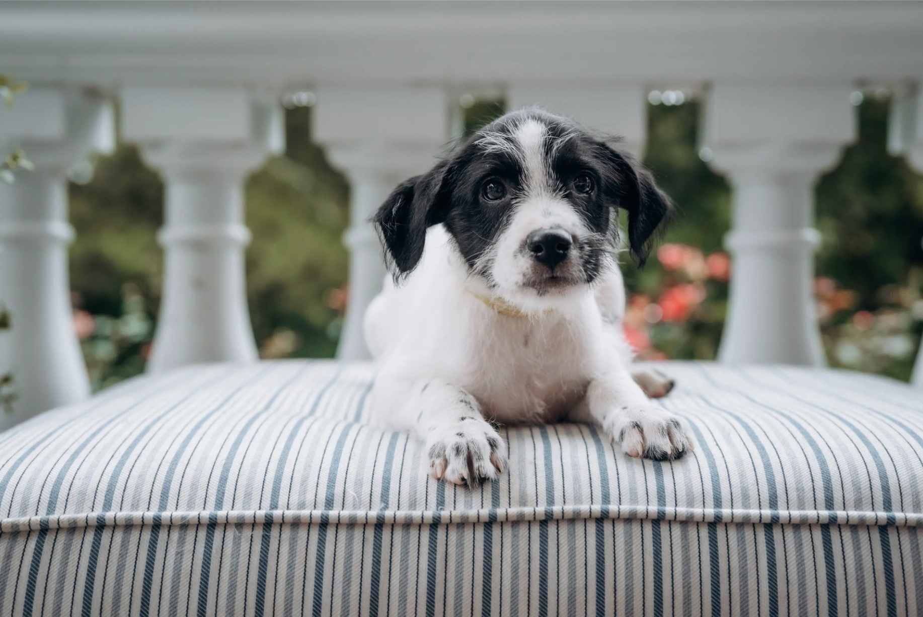 Michelle Miner Photographer in Charlotte - 1.png