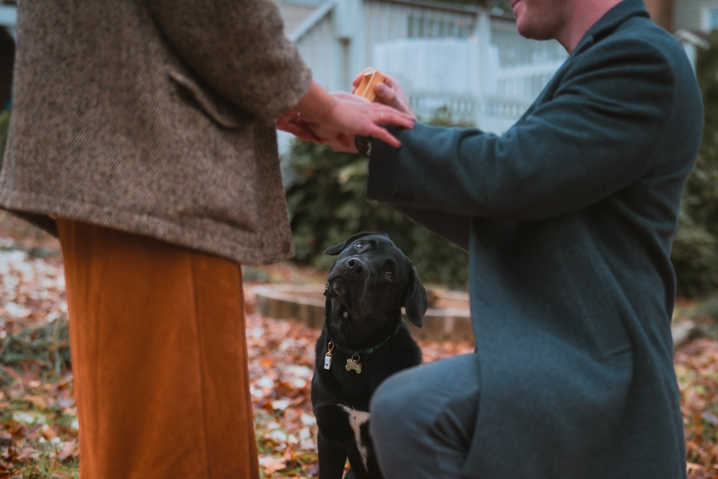 A Surprise Proposal in Charlotte and the Twist I Never Saw Coming