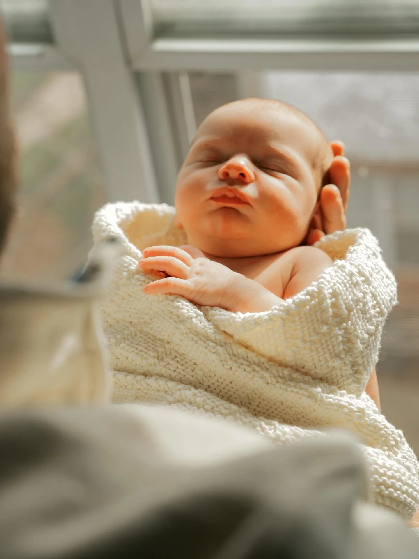 My favorite animal is me when I get to photograph a newborn 

#charlottenewbornphotographer #charlottephotographer