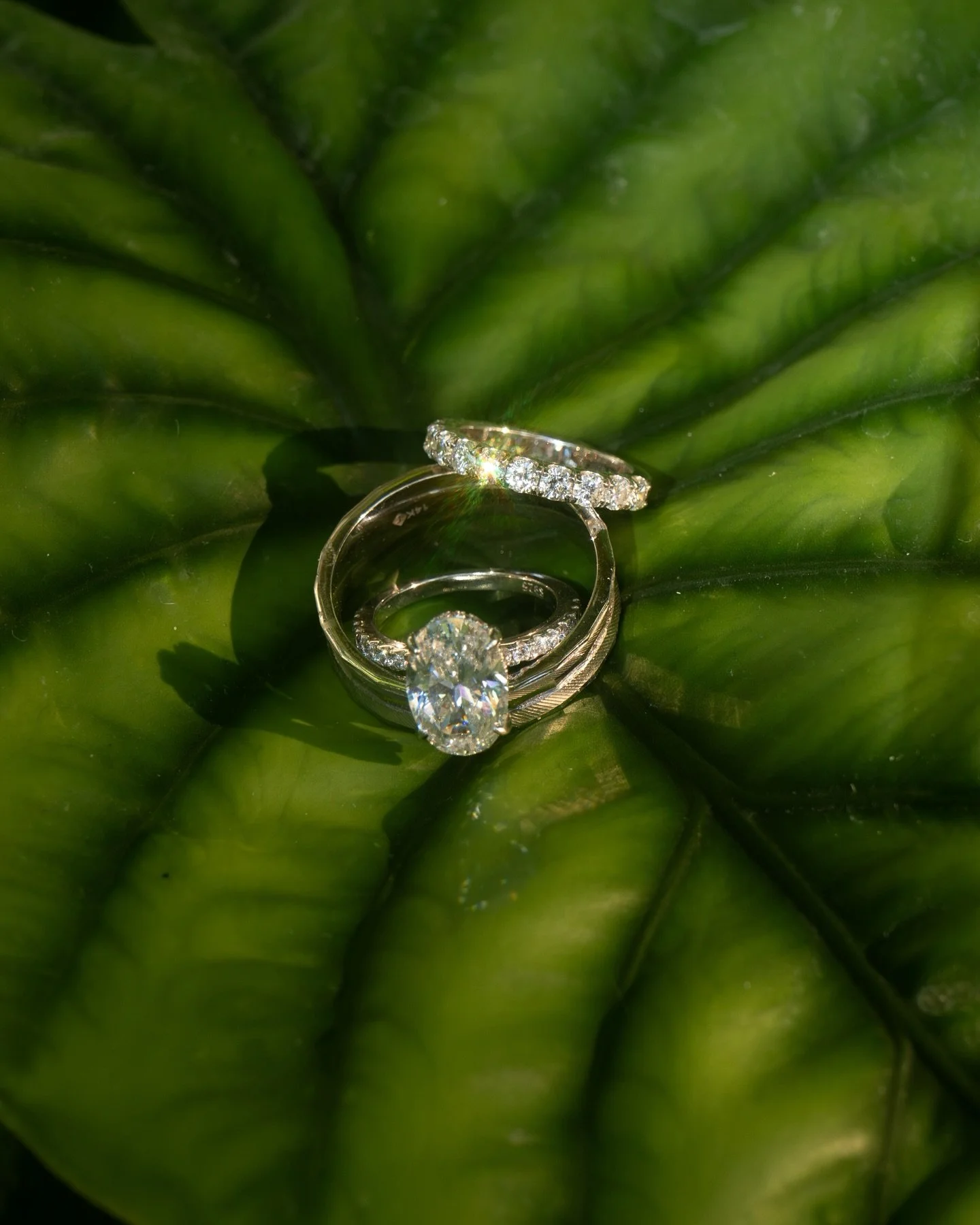 From planning to friendship to officiating their wedding&mdash;what a journey with Laurel &amp; Jay! 💍💕

We especially loved their private vows in the garden at the hotel&rsquo;s &ldquo;Tu y Yo&rdquo; chairs, side by side, slightly apart, perfectly
