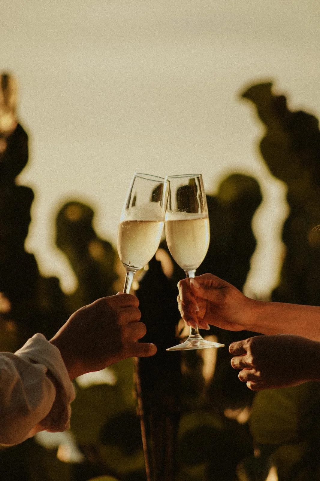 Couple toasting with champagne at sunset during a celebration in Holbox.