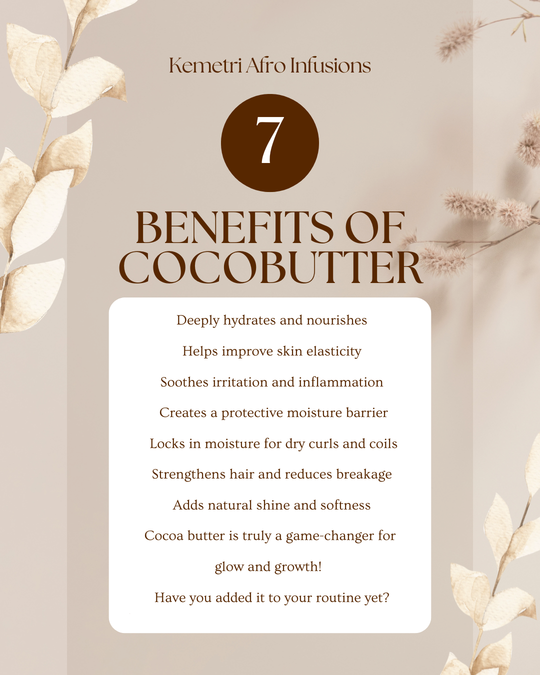 Why Cocoa Butter Works So Well for Afro Hair