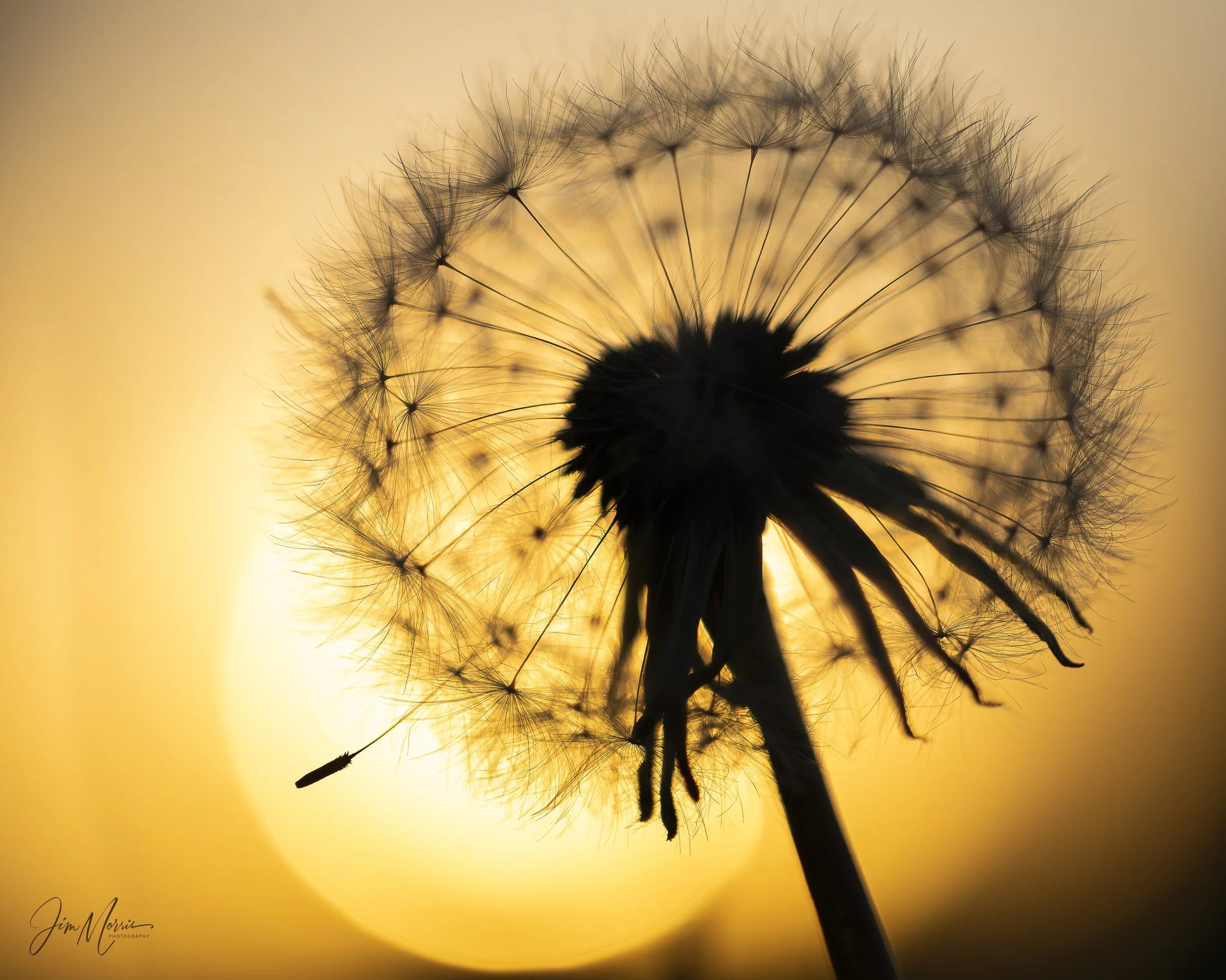 _C7A3796.jpg