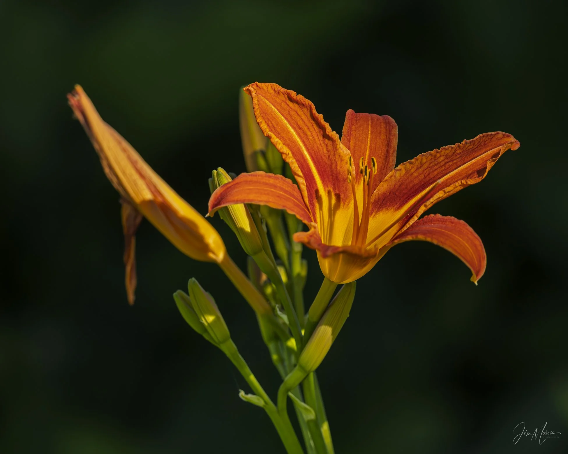_C7A2476.jpg