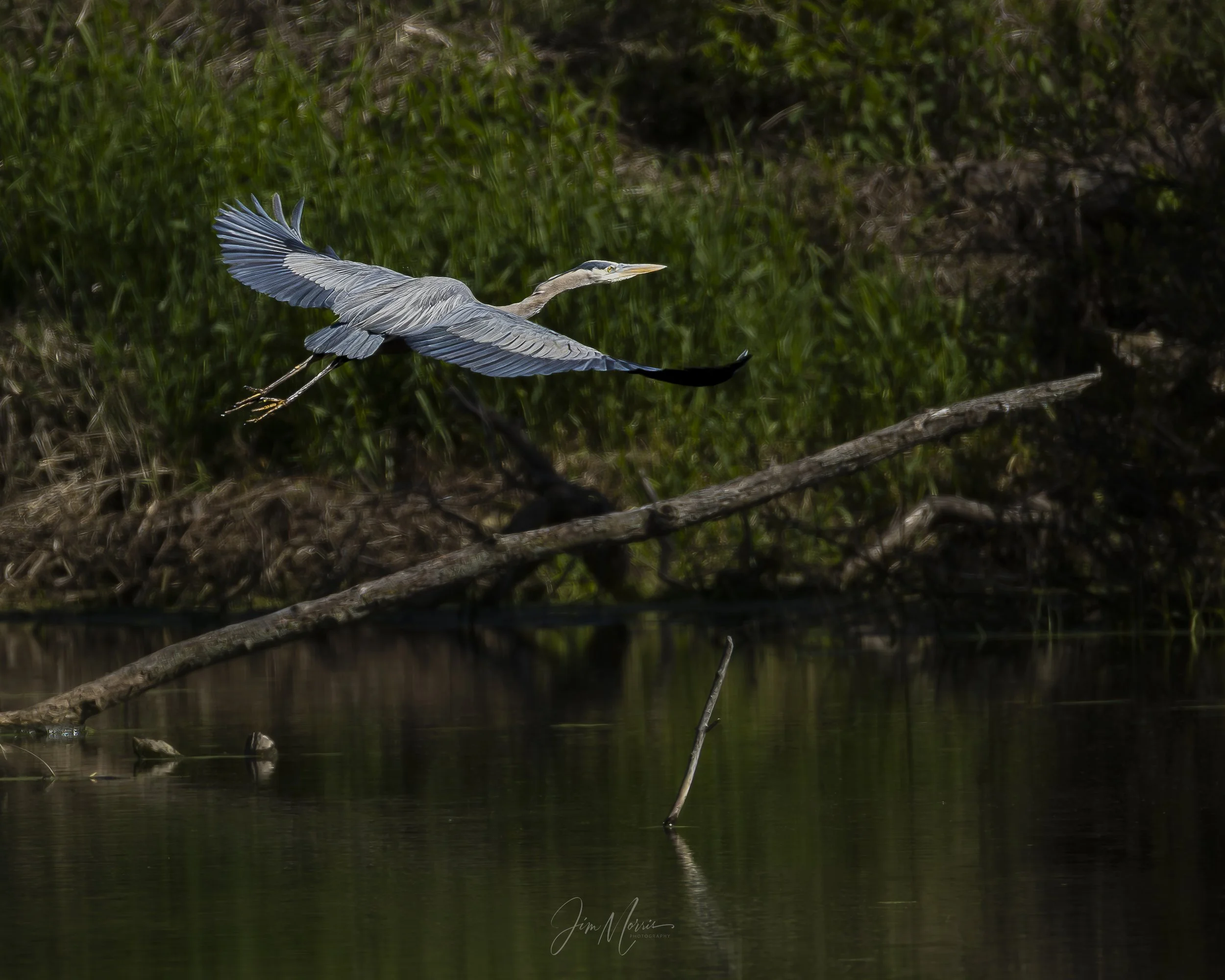 _C7A3353-2.jpg