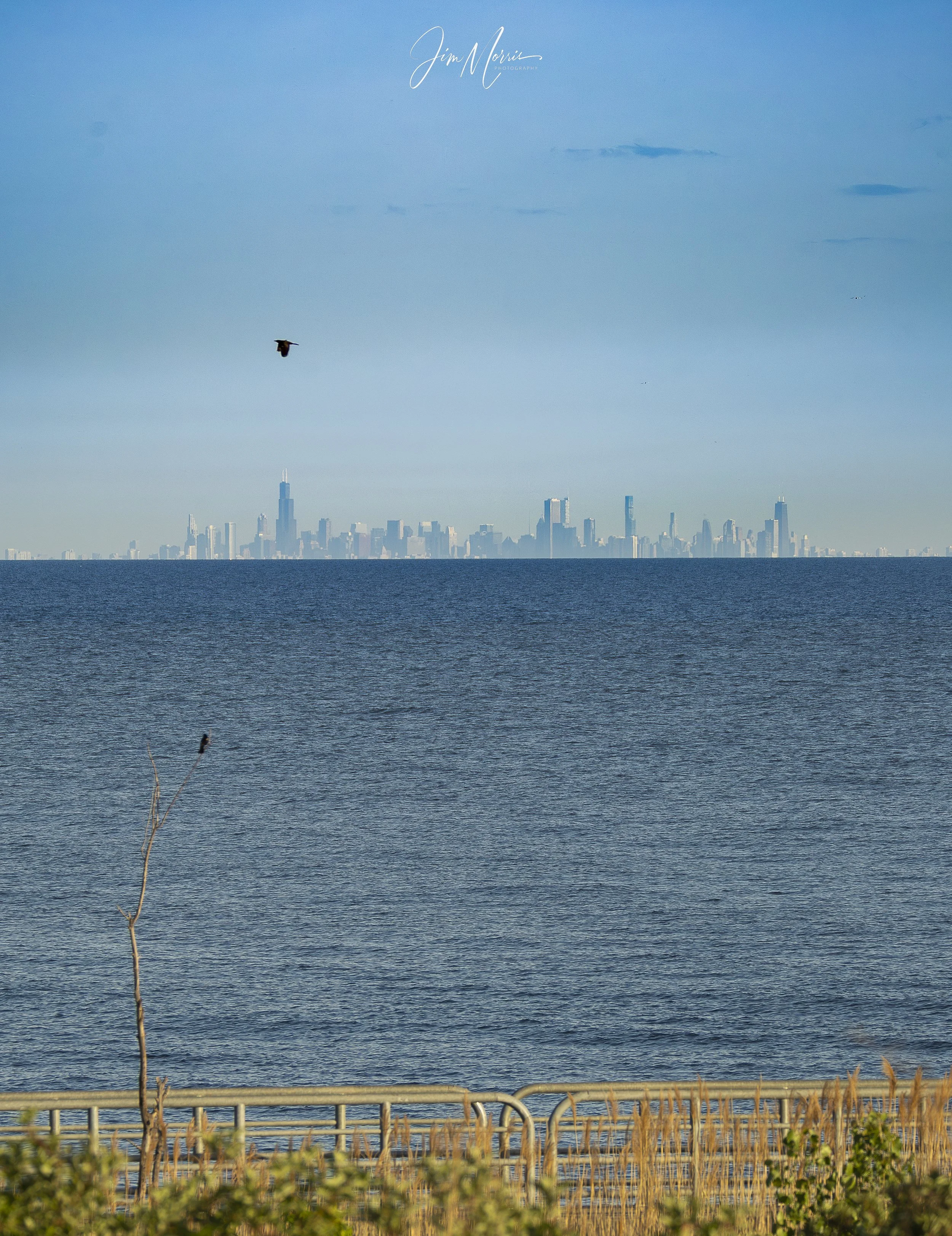 _C7A9664-2.jpg