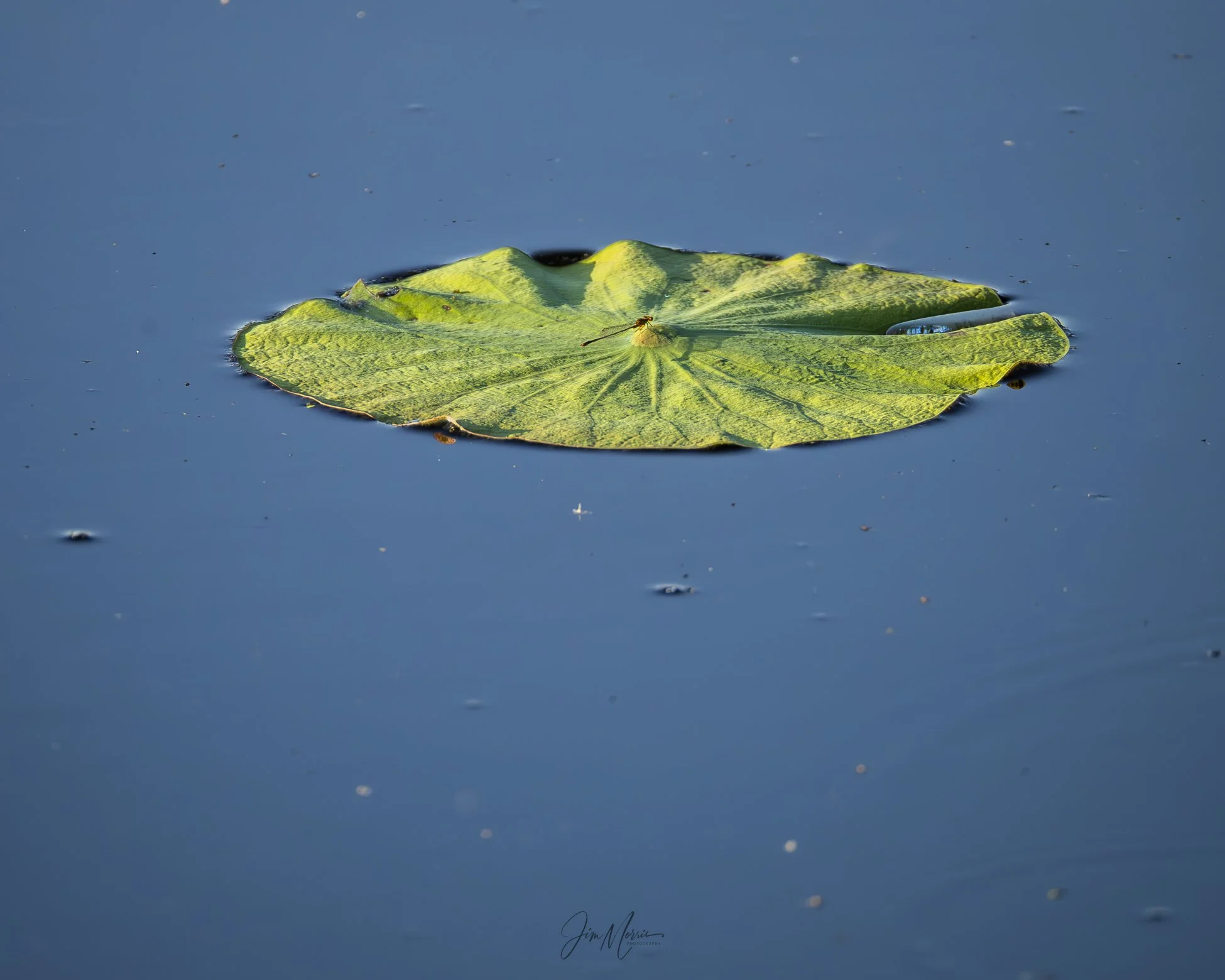 _C7A5817-2.jpg
