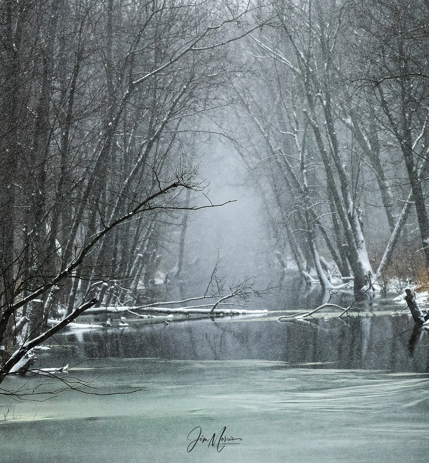Winter morning.jpg