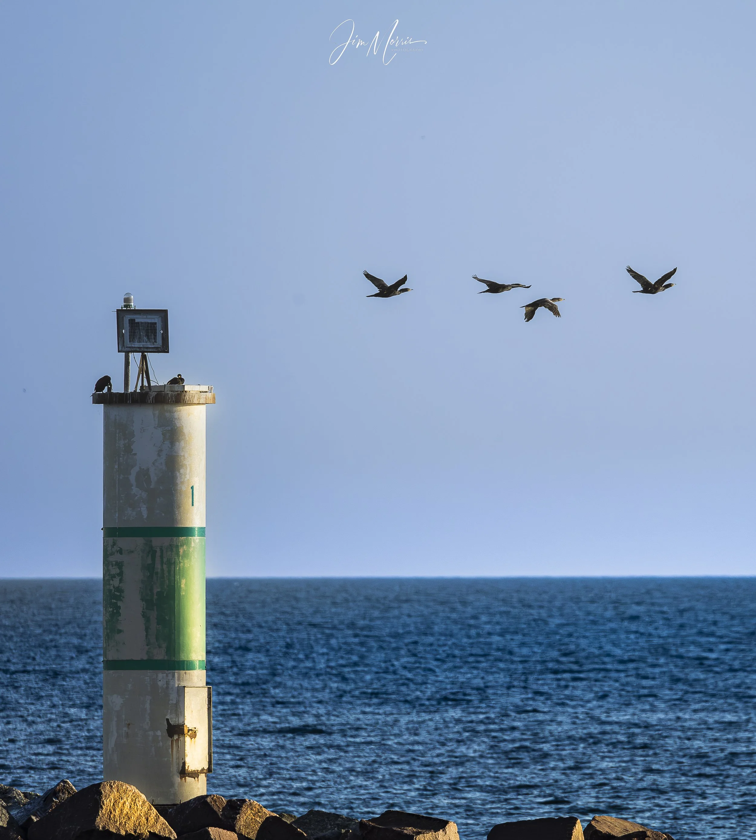_C7A9361-2.jpg