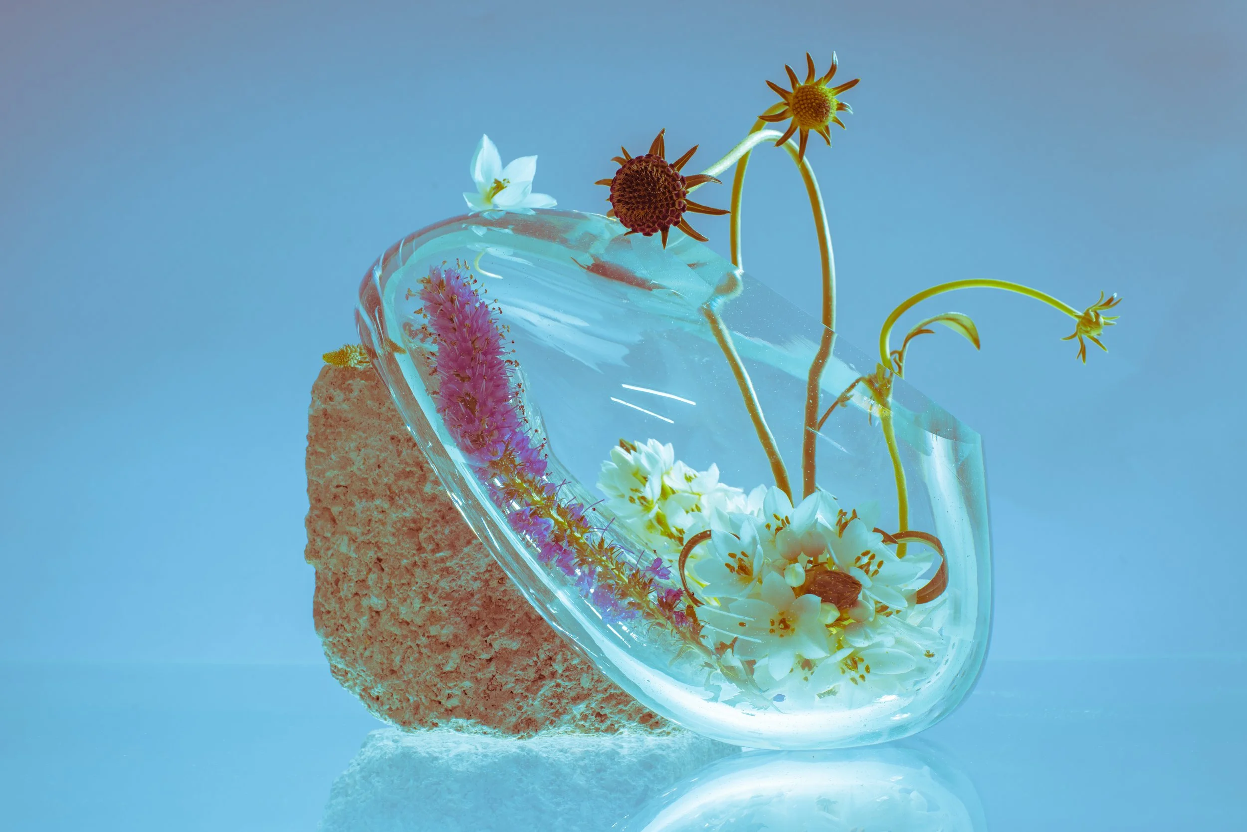 SN_FLEUR_3-166-2.jpg