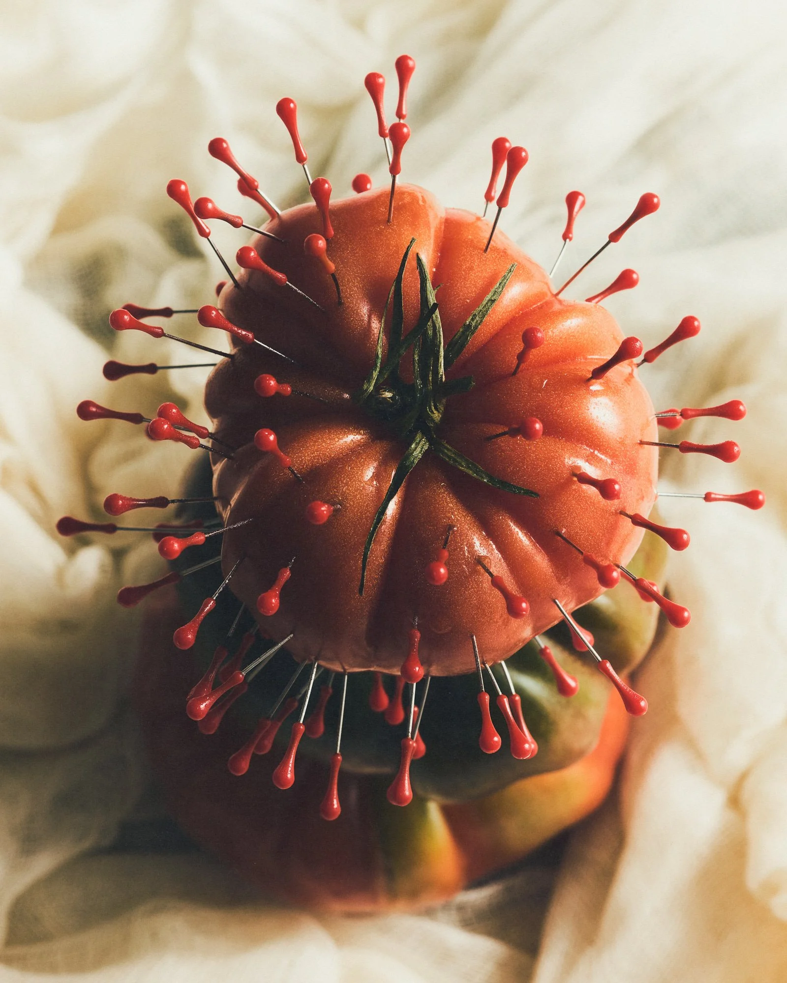 nature-morte-styliste-culinaire-photo-raphaelle-dube-7.jpg